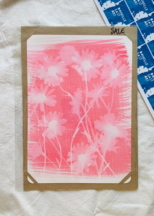 Pink Ox Eye Daisies 19x28cm Original Print - SALE