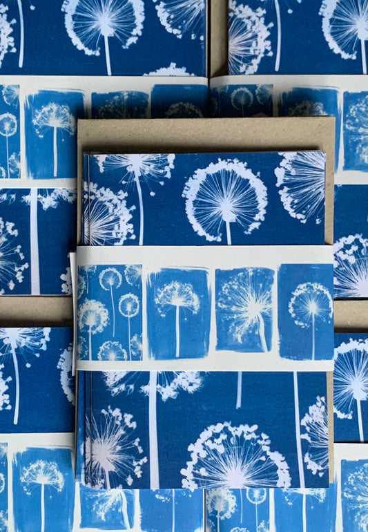 pack of Allium Cyanotype Blank Greetings card from Danielle East ART