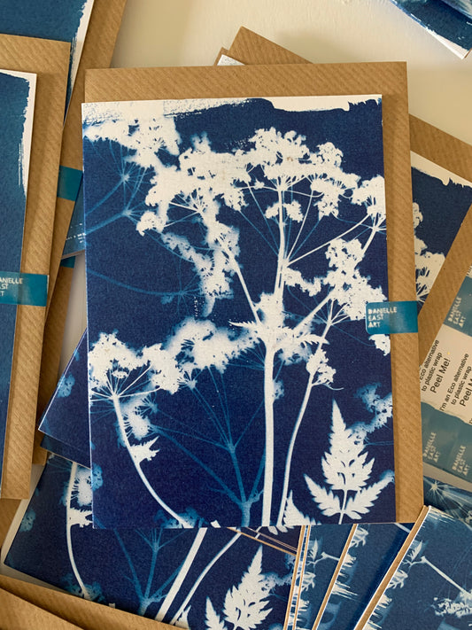 Cow Parsley Cyanotype Greeting Card from Danielle East ART