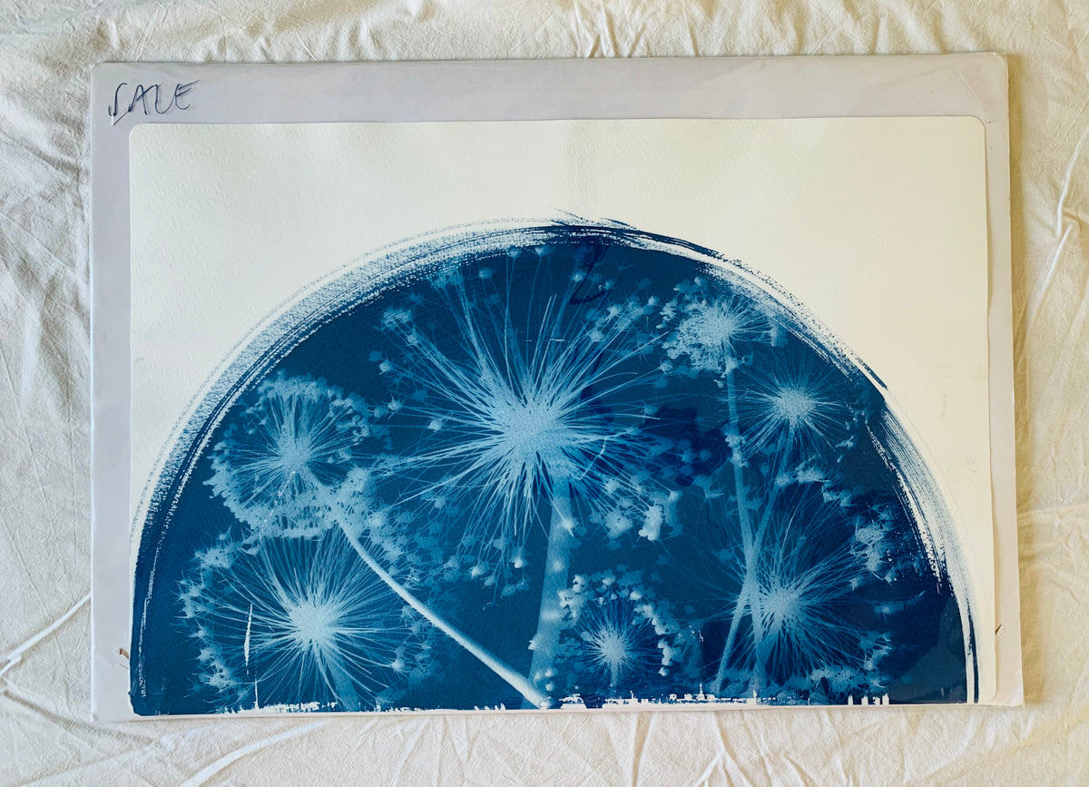 All the Alliums Half Moon (15x22") Original Print - SALE