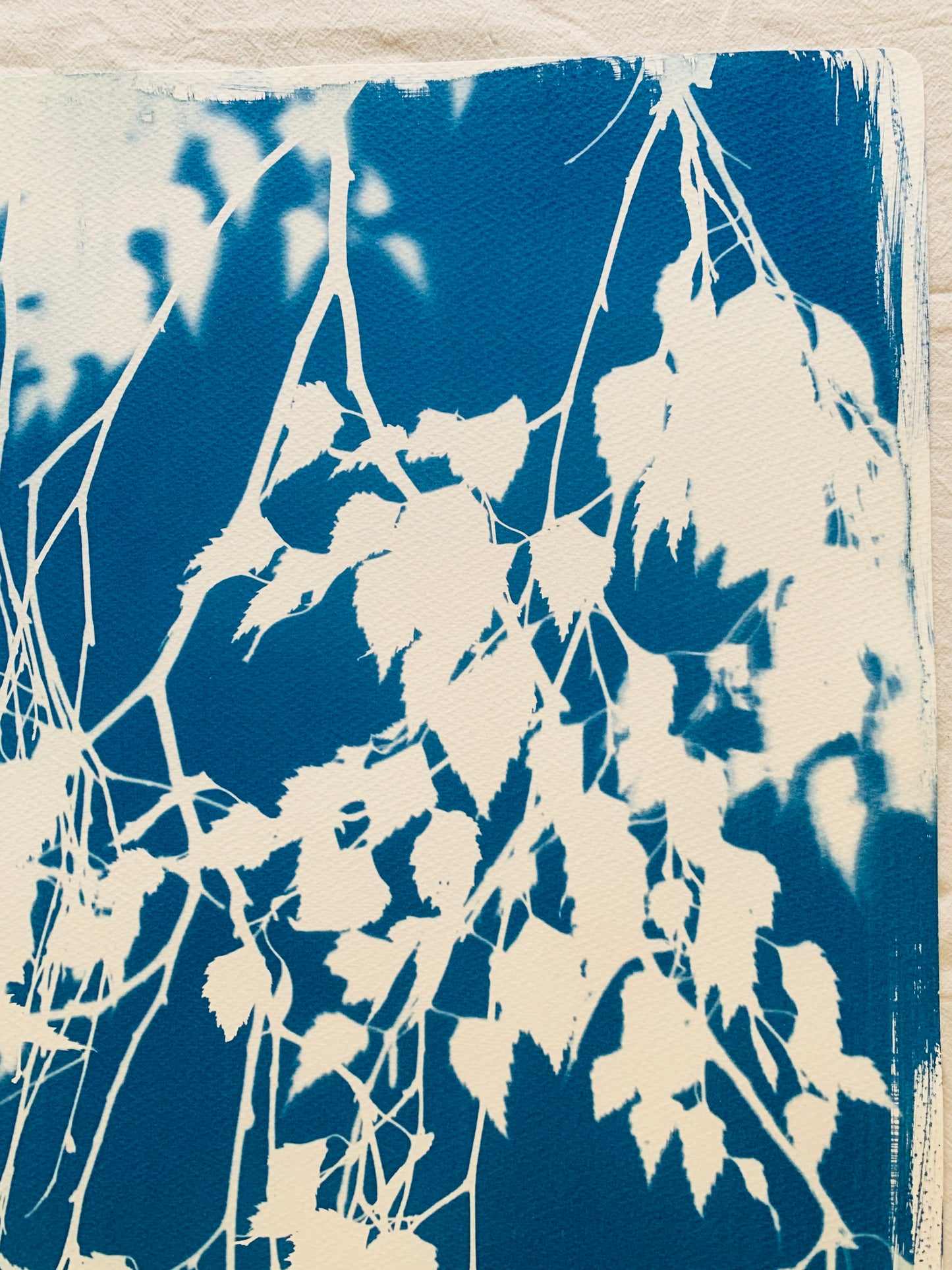 Birch Tree (22x15") Original Print