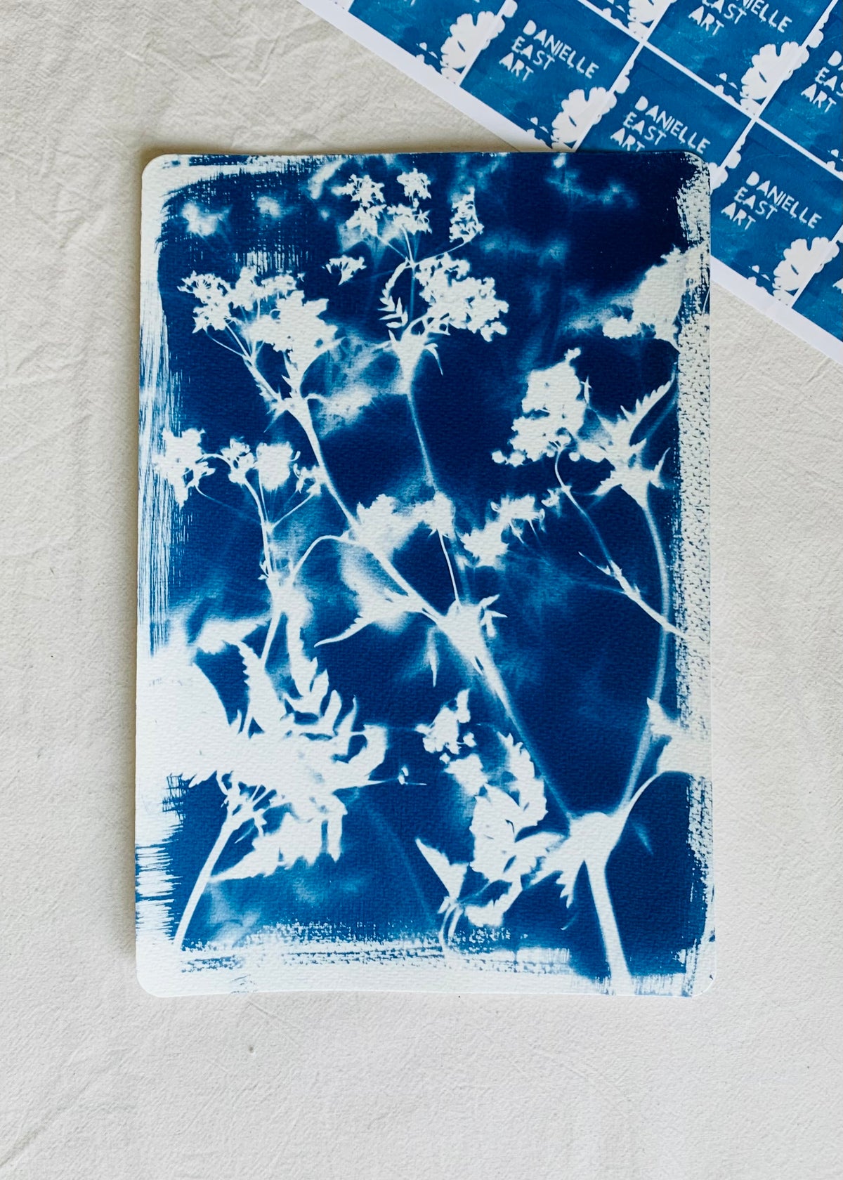 Cow Parsley 19x28cm - Original Print - SALE