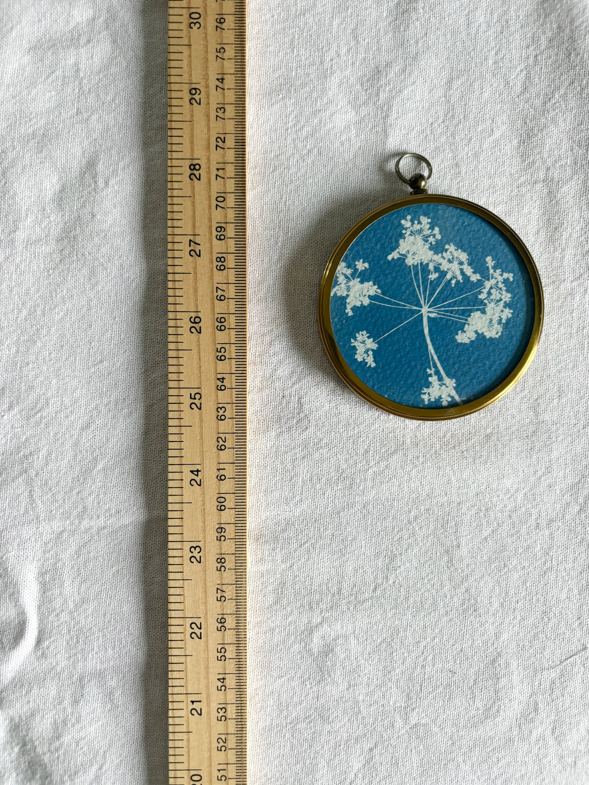 Cow Parsley- Brass Framed Circle Cyanotype - 7.5cm Diameter