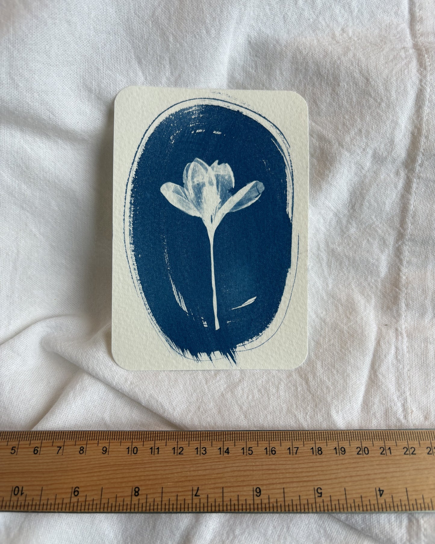 Crocus Oval 14 x 9.5cm - Original Print