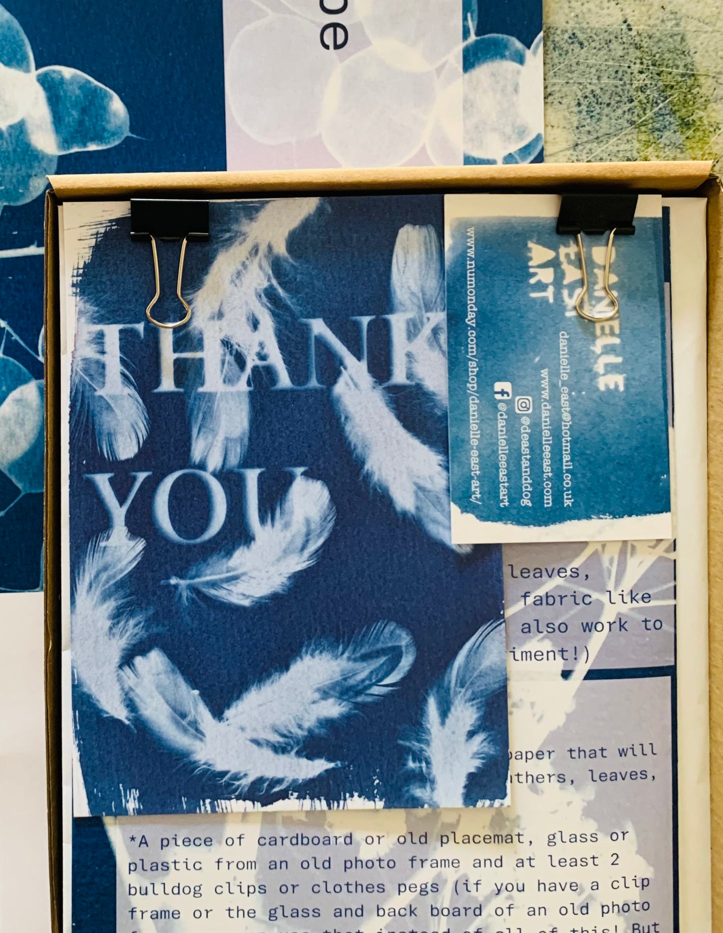 DIY Cyanotype Kit