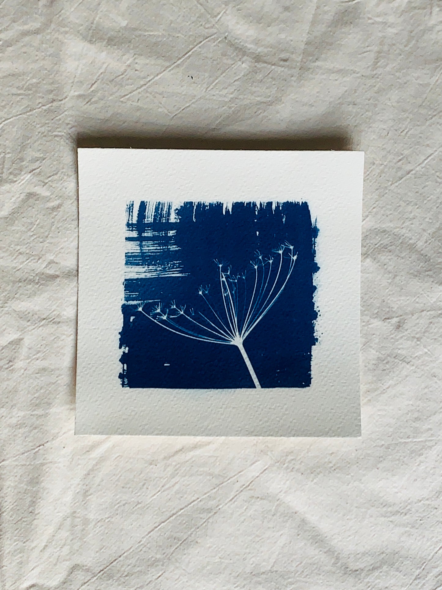 Dried Parsley Square NNU 15x15cm - Original Print