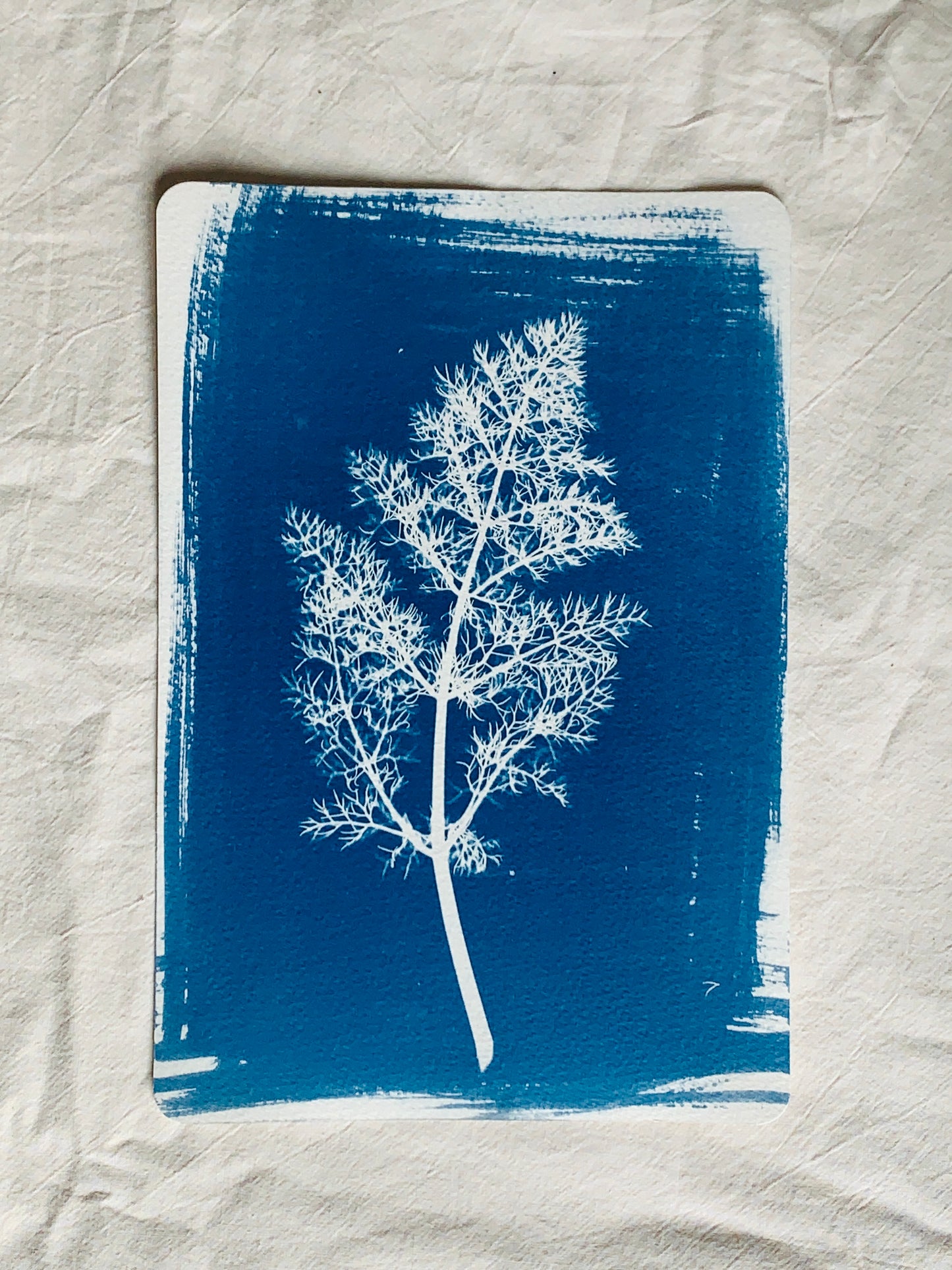 Fennel Leaf 19x28cm - Original Print NNU