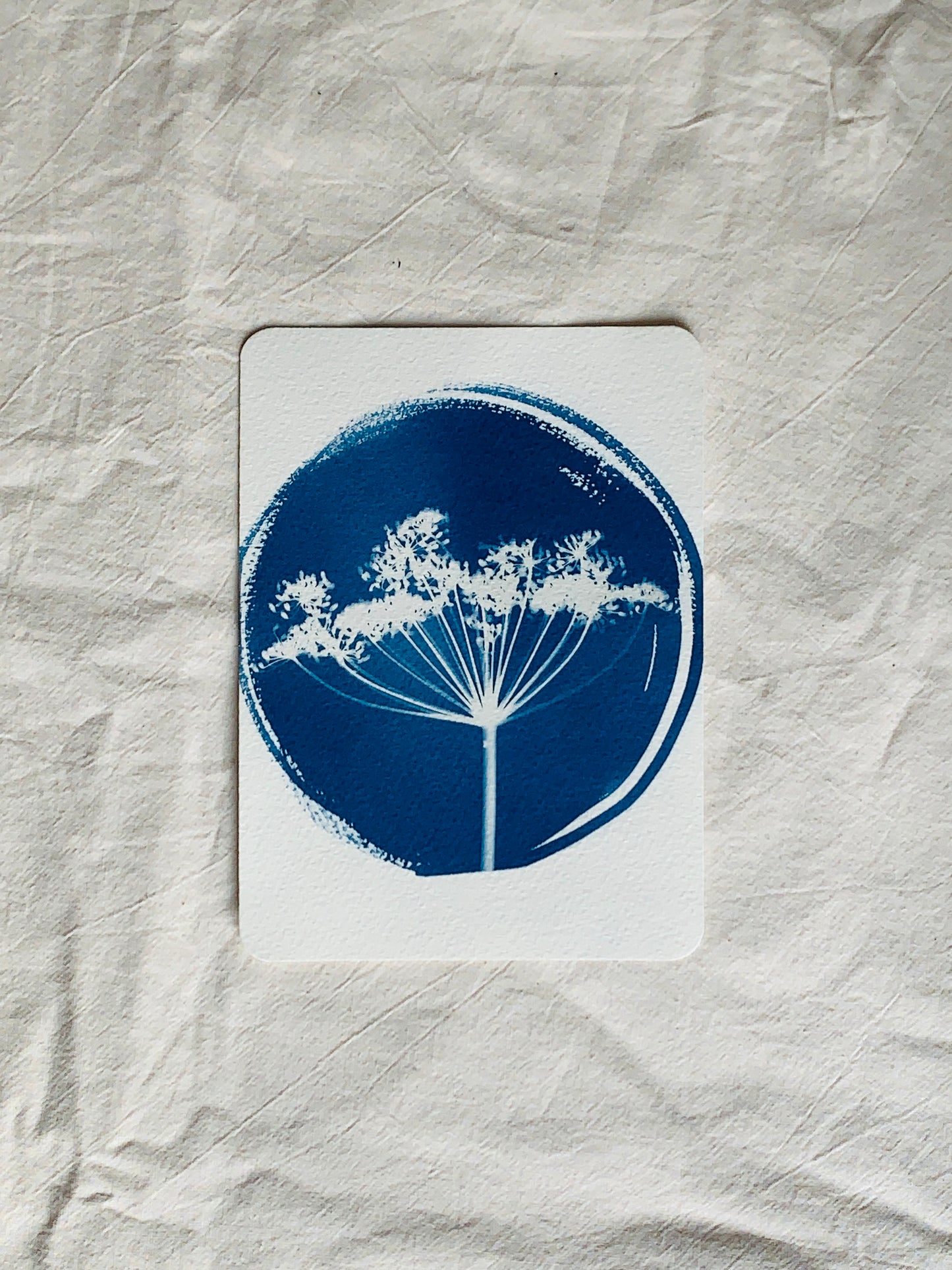 Fennel Round 14x19cm - Original Print NNU