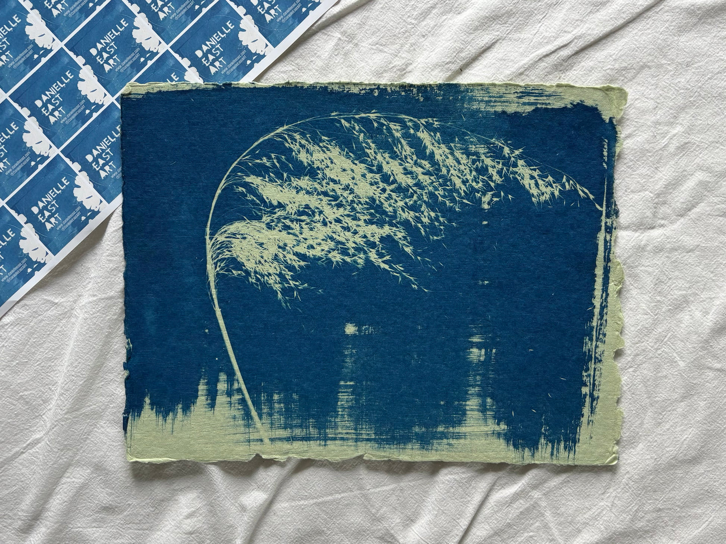Pale Green Reed -22x29cm Cotton Rag paper Original Cyanotype Print