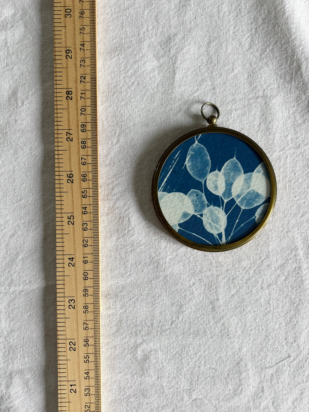 Honesty - Brass Framed Circle Cyanotype - 7.5cm Diameter