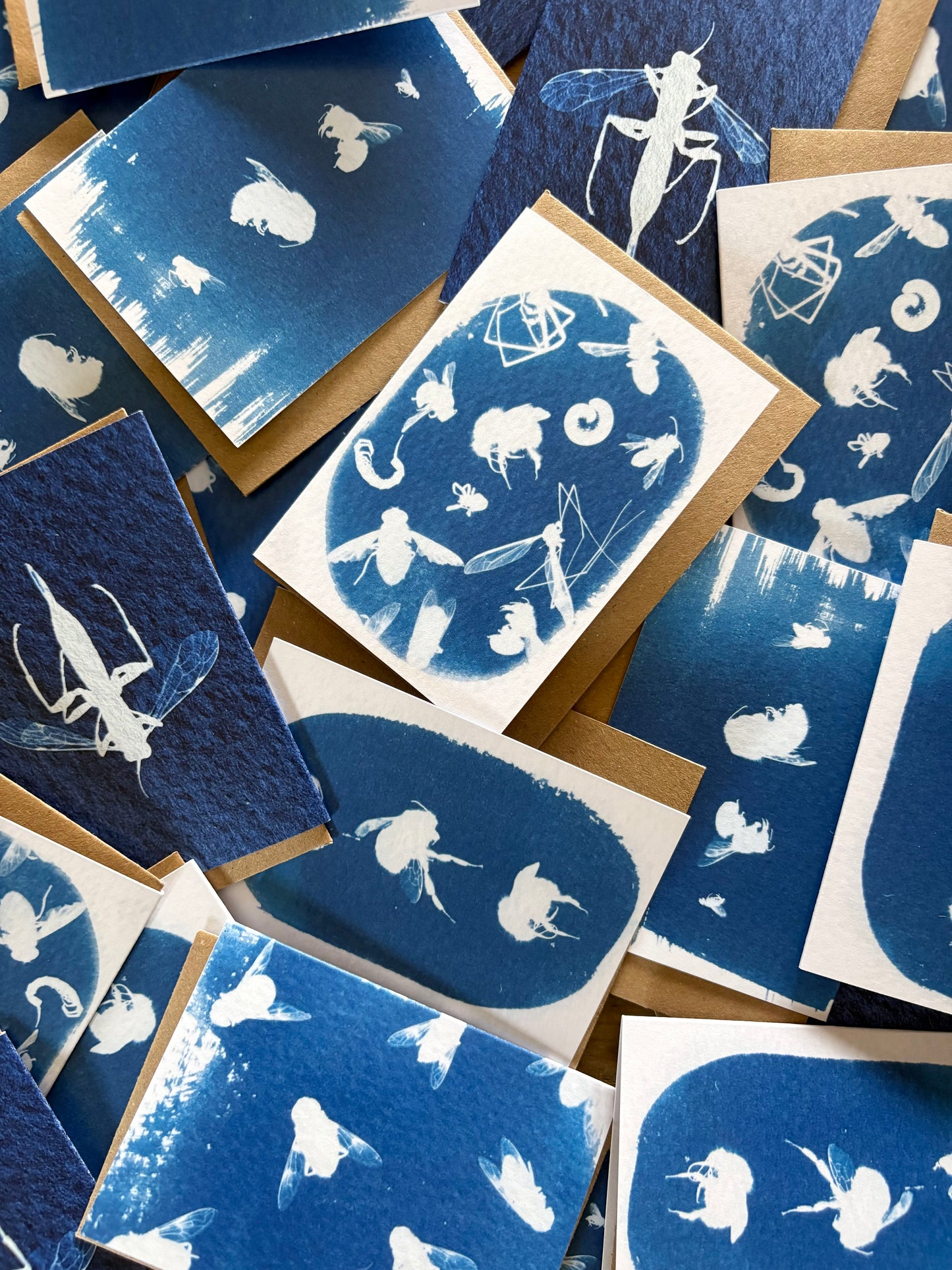 3 bees - Cyanotype - A7 Blank Card