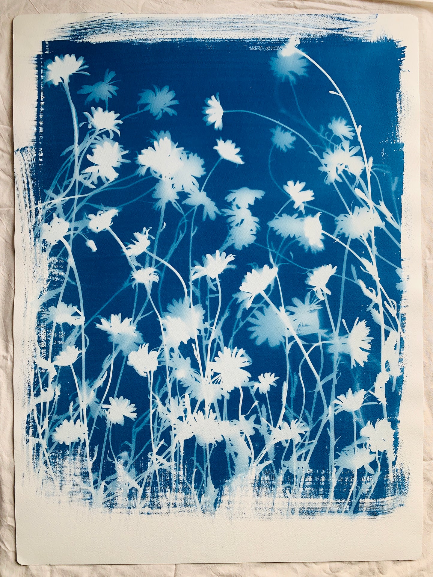 Ox Eye Portrait (22x30") Original Print NNU