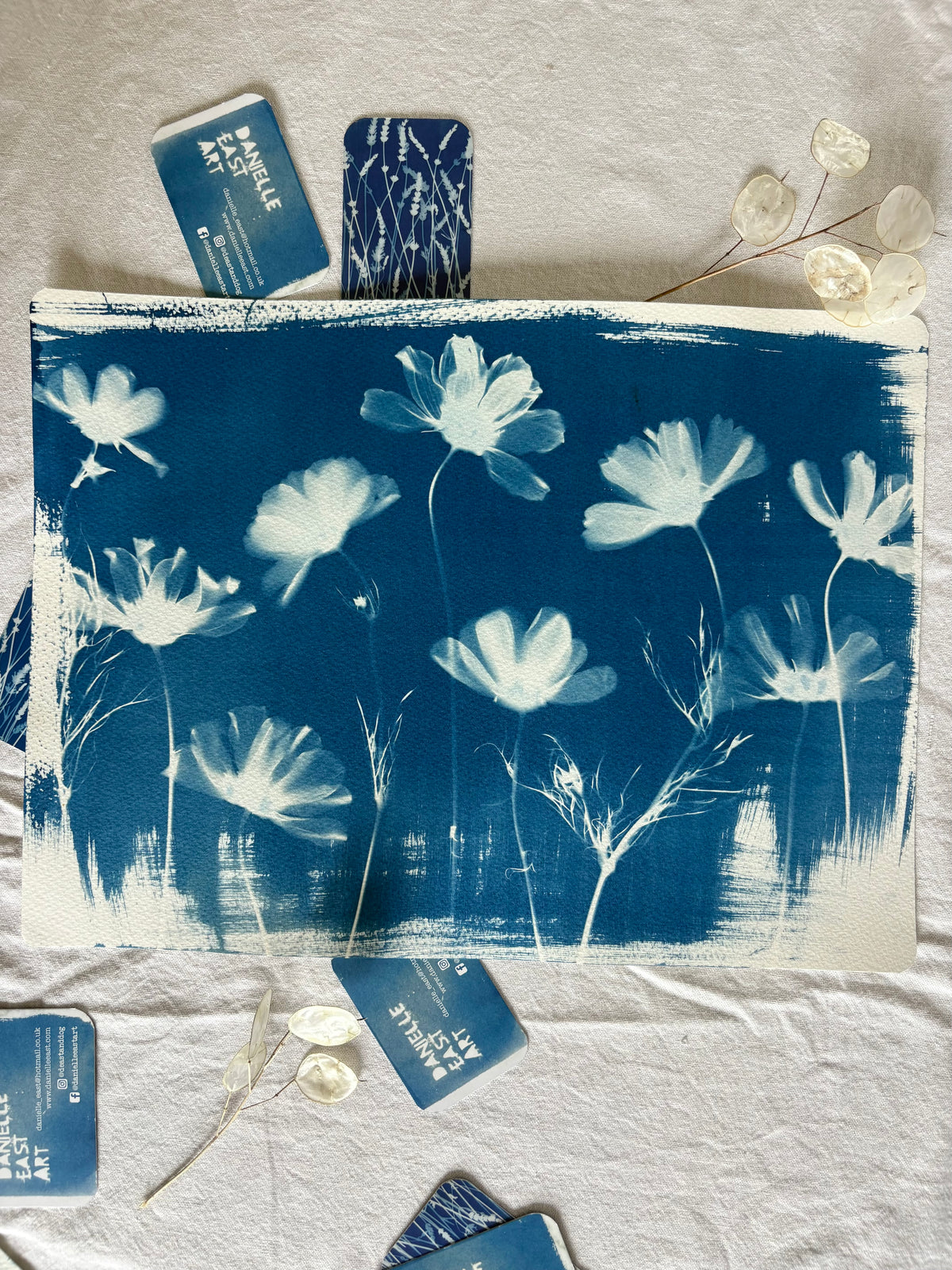 Cosmos Lineup 28x38cm Original Cyanotype Print