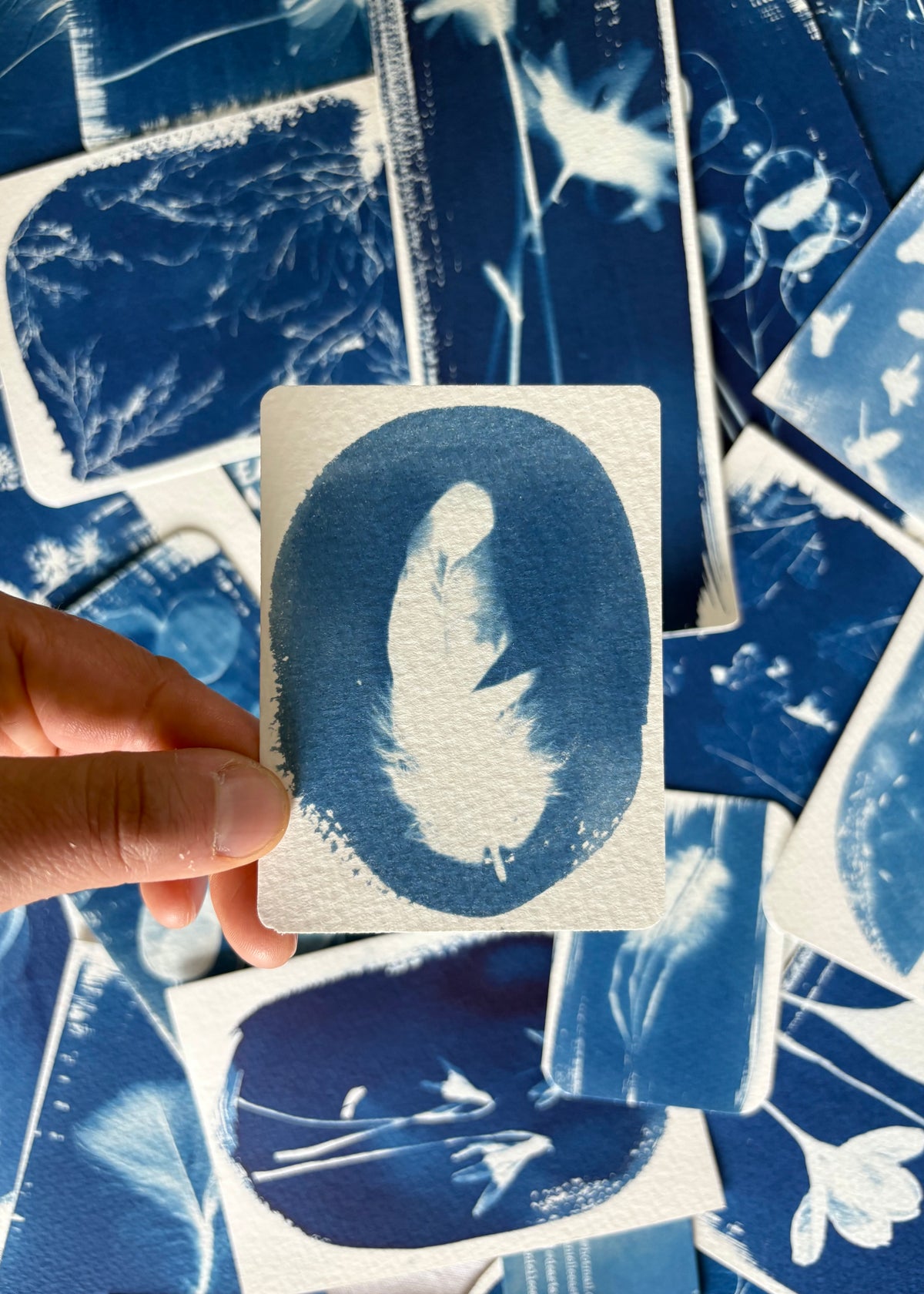 Feather ii 7x9.5cm - Original Print - SALE