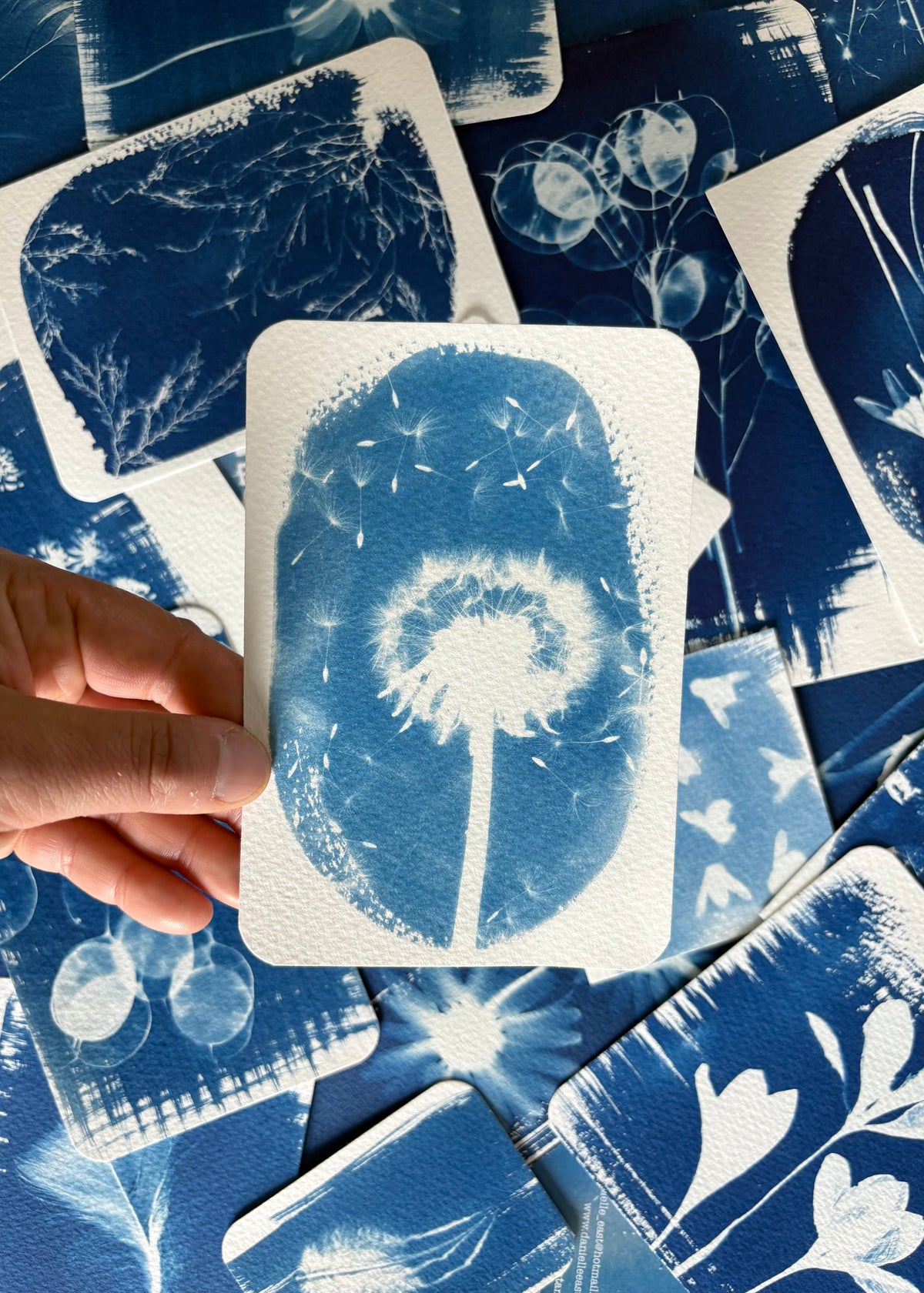 Dandelion 9.5x14cm - Original Print - SALE