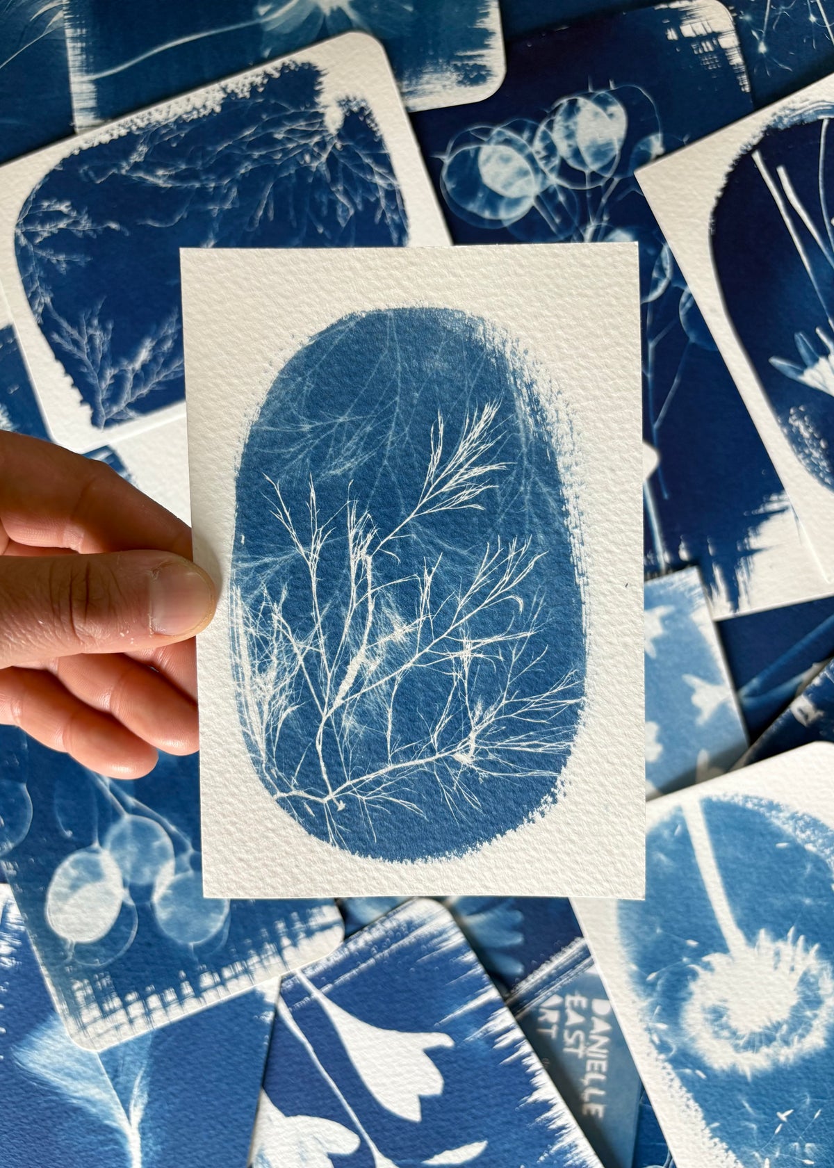 Seaweed experiment 9.5x14cm - Original Print - SALE