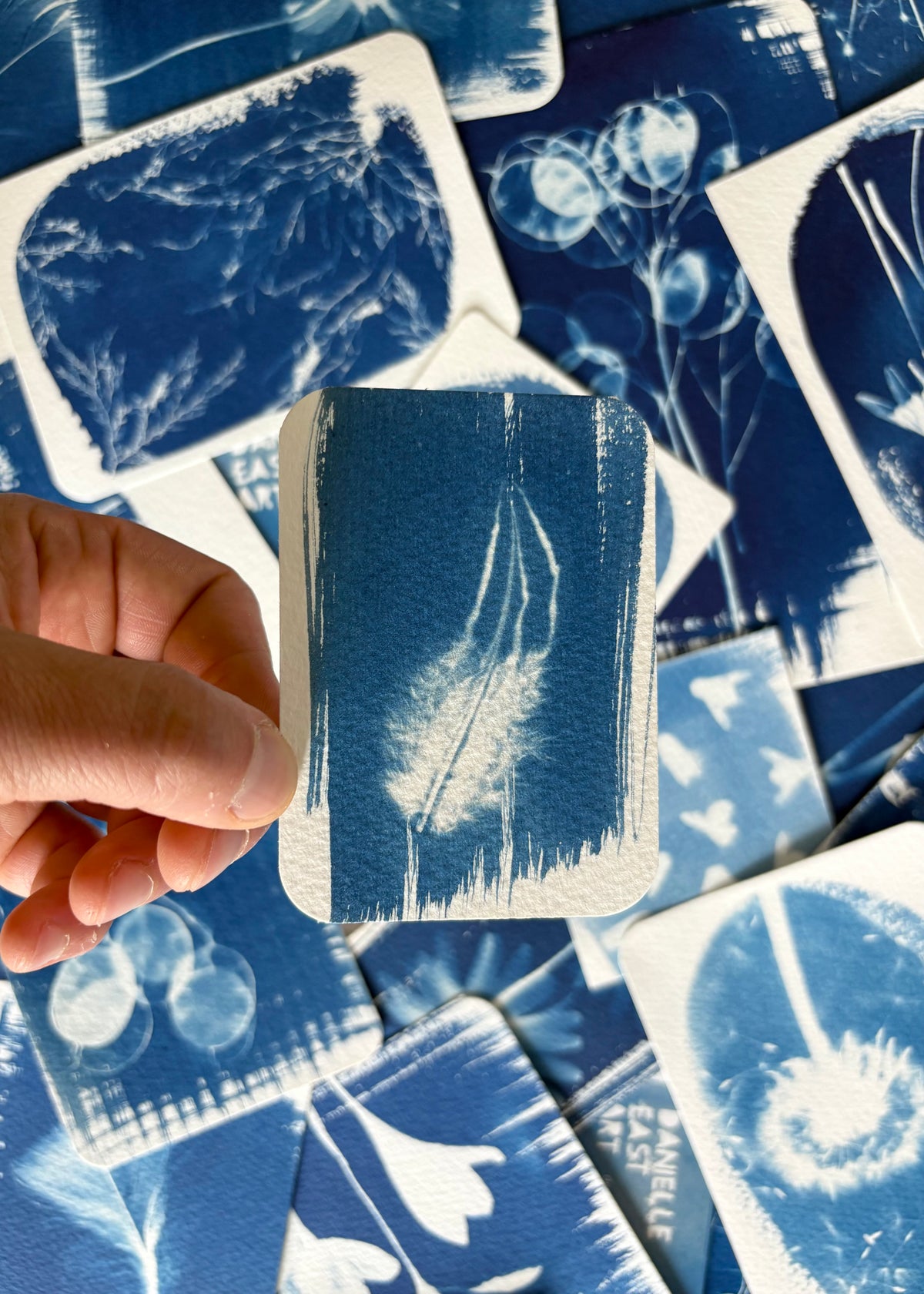 Feather i 7x9.5cm - Original Print - SALE