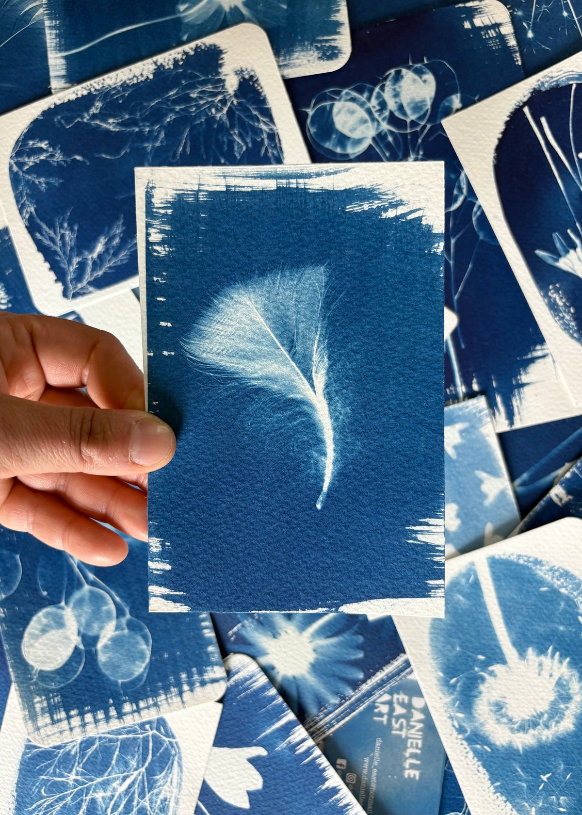 Feather 9.5x14cm - Original Print - SALE