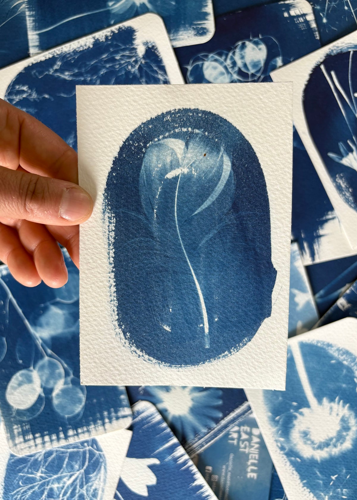 Goose Feather 9.5x14cm - Original Print - SALE