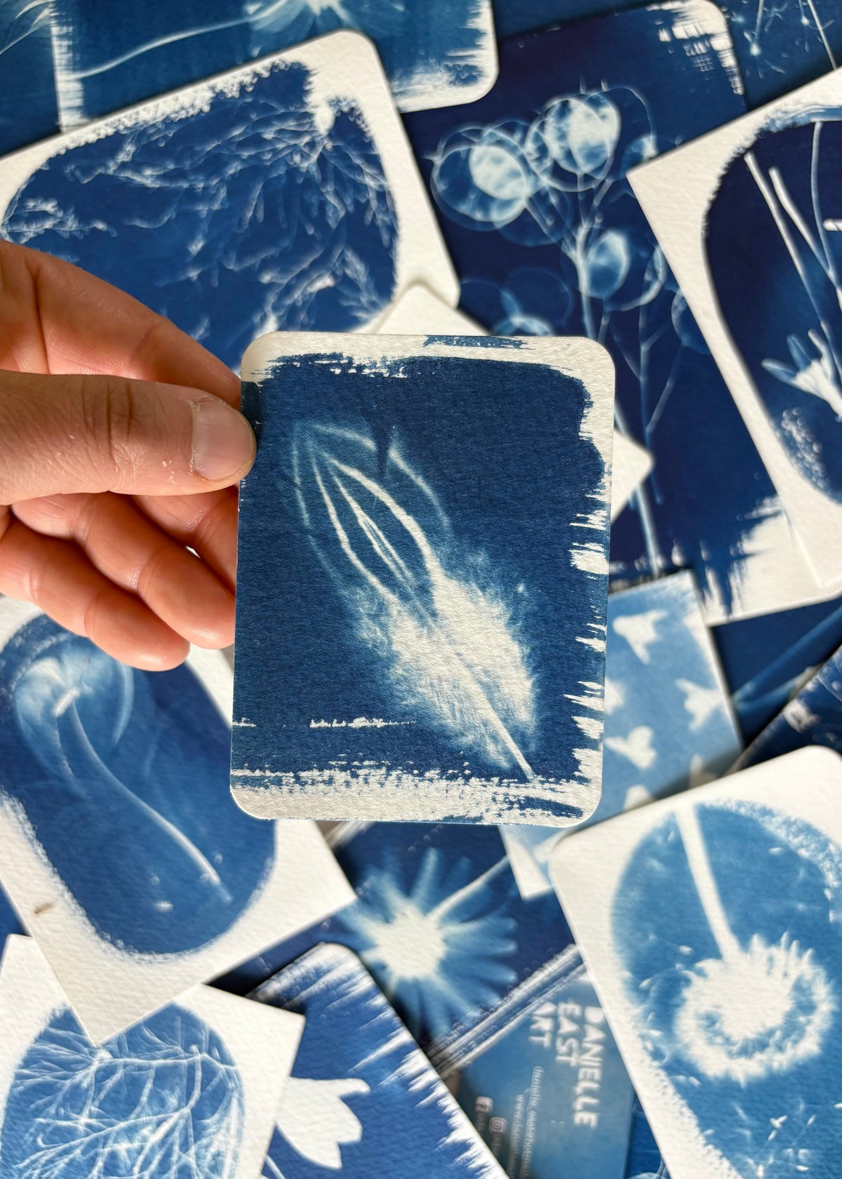 Feather 7x9.5cm - Original Print - SALE