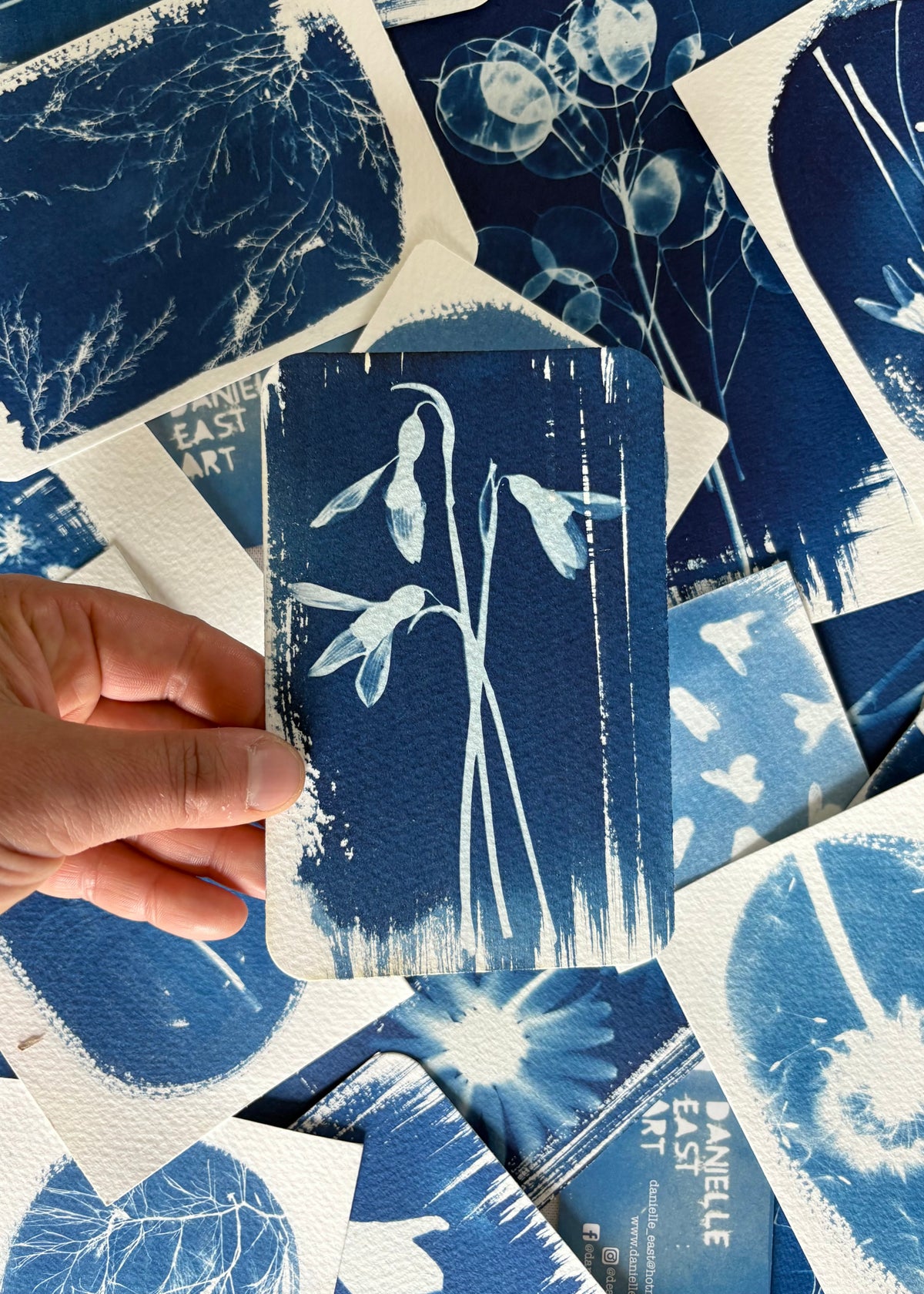 Snow Drop Trio 5 9.5x14cm - Original Print - SALE