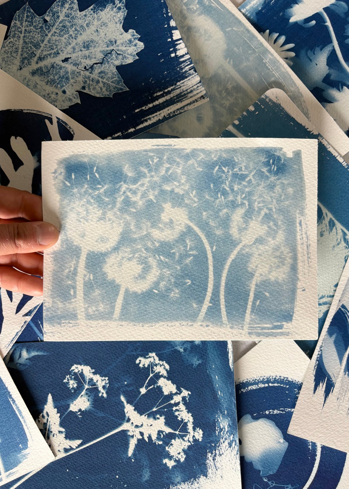 Dandelions Landscape 14x19cm - Original Print - SALE