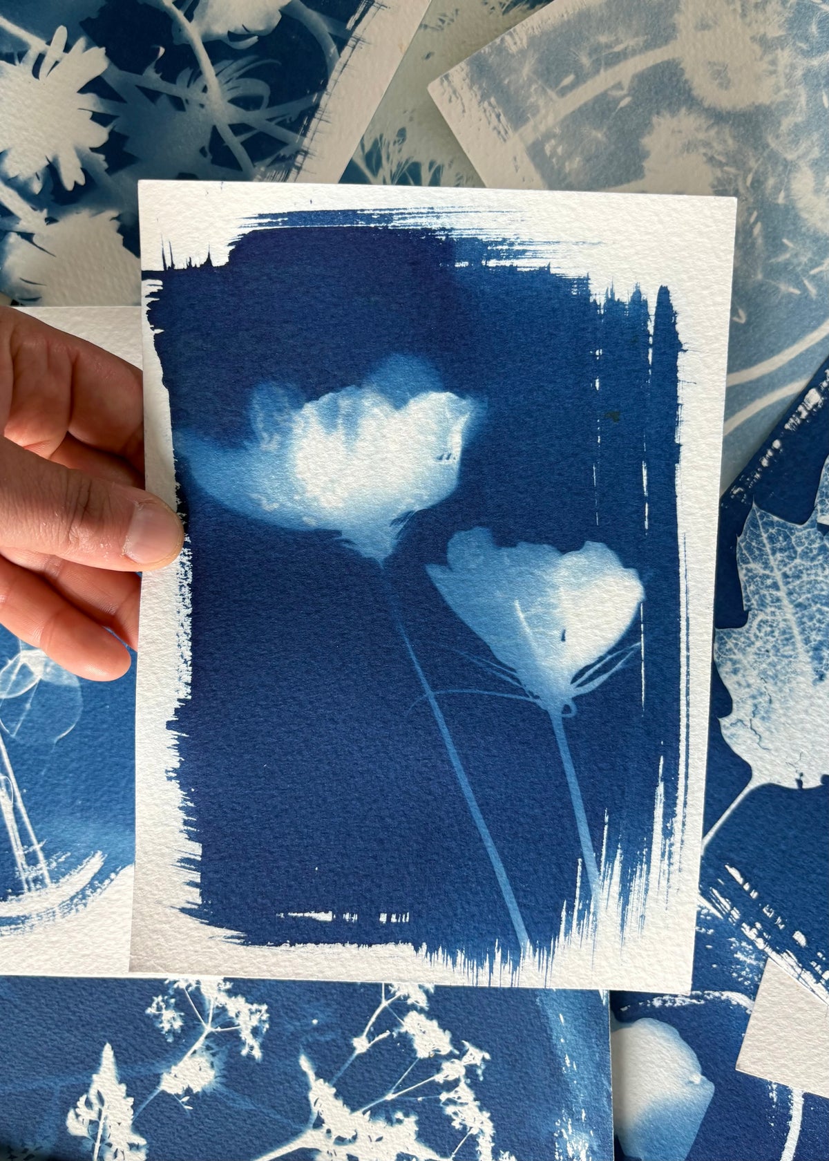 Cosmos Experiment 14x19cm - Original Print - SALE