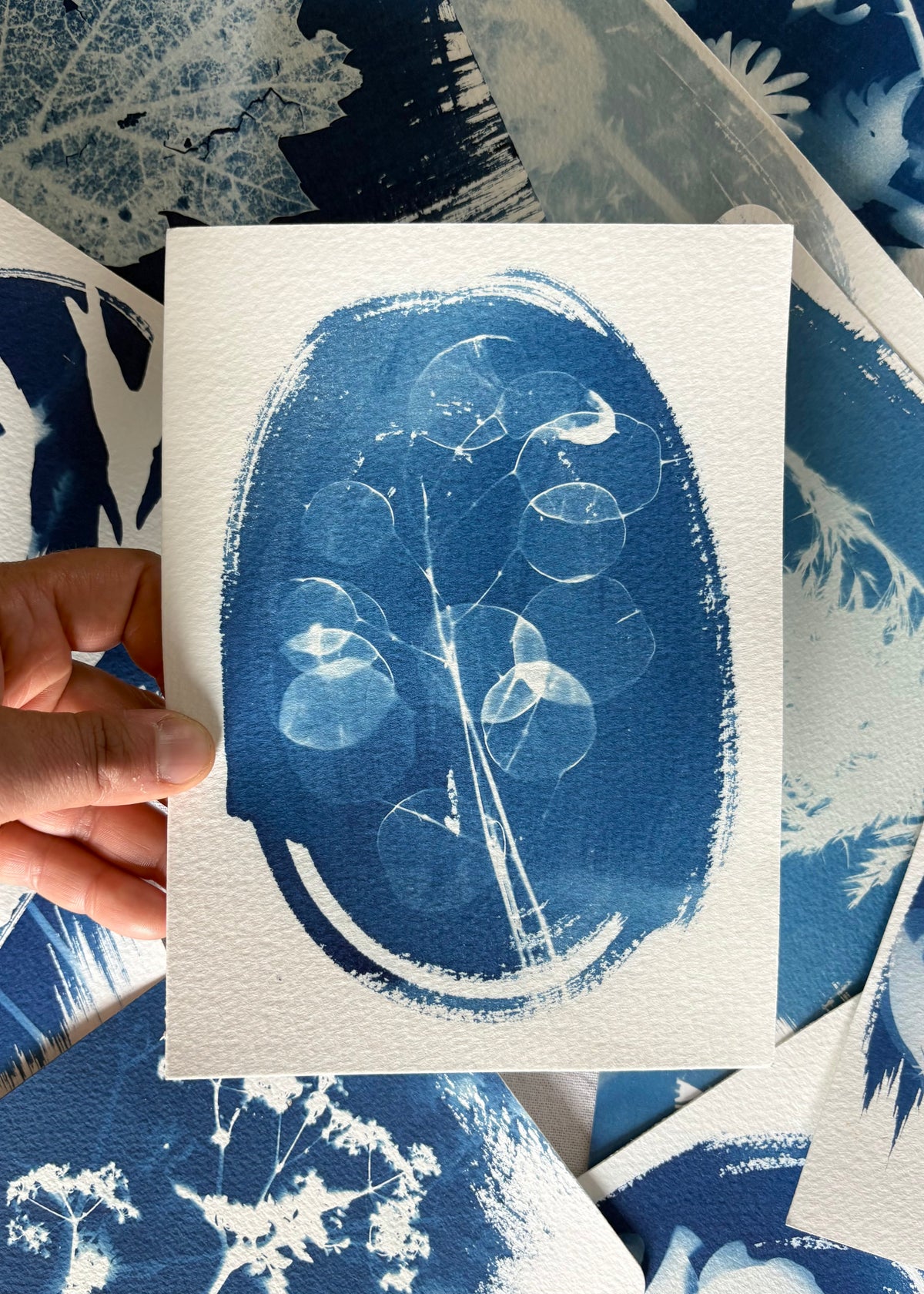 Honesty 14x19cm - Original Print - SALE