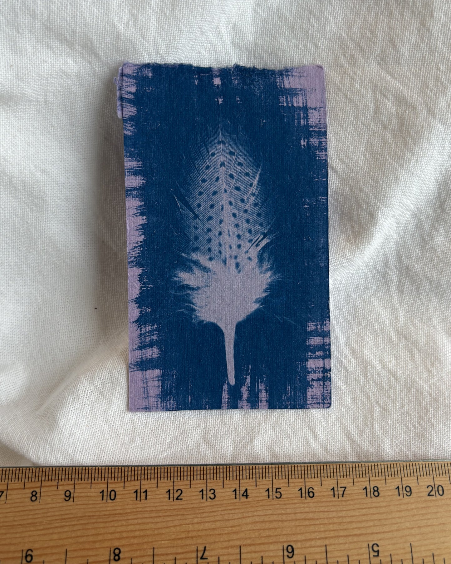 Pale Purple Guinea Fowl Feather 7 x 11cm (approx) - Original Print
