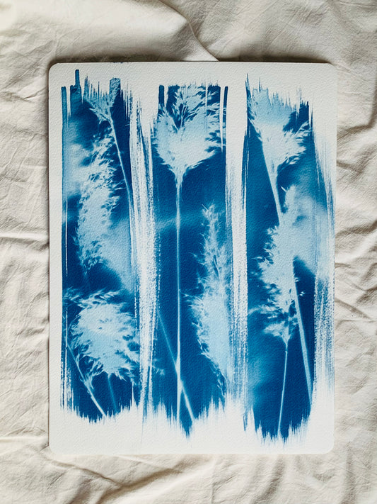 three broad stripes with layered reed stems exposed to make a blue and white cyanotype
