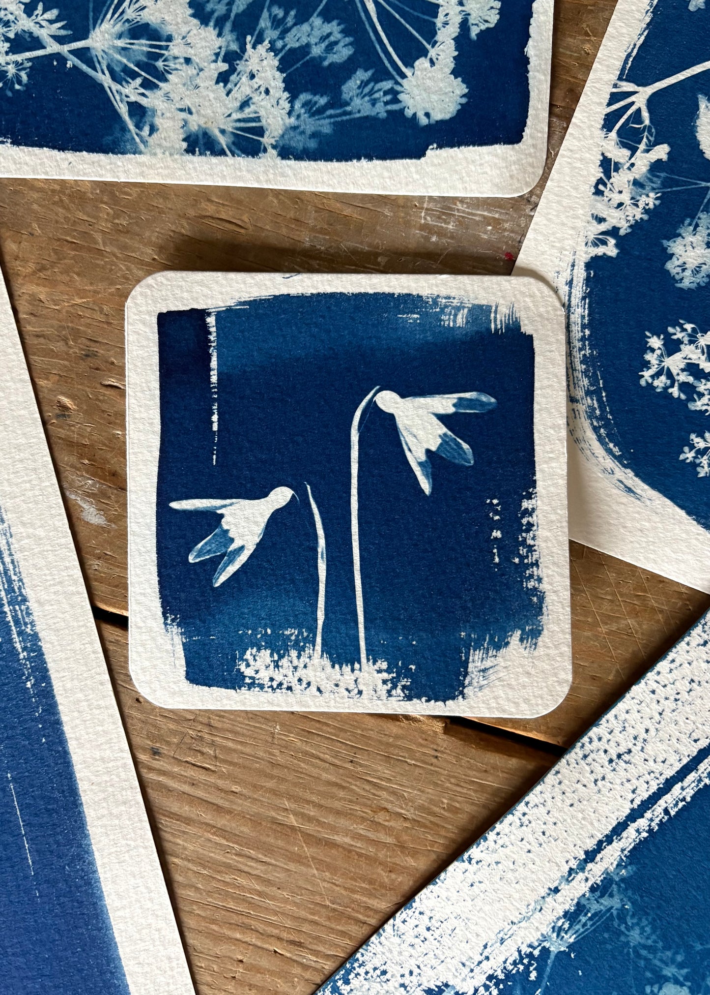 Snow Drop Pair - 9.5 x 9.5cm (approx) - Original Print