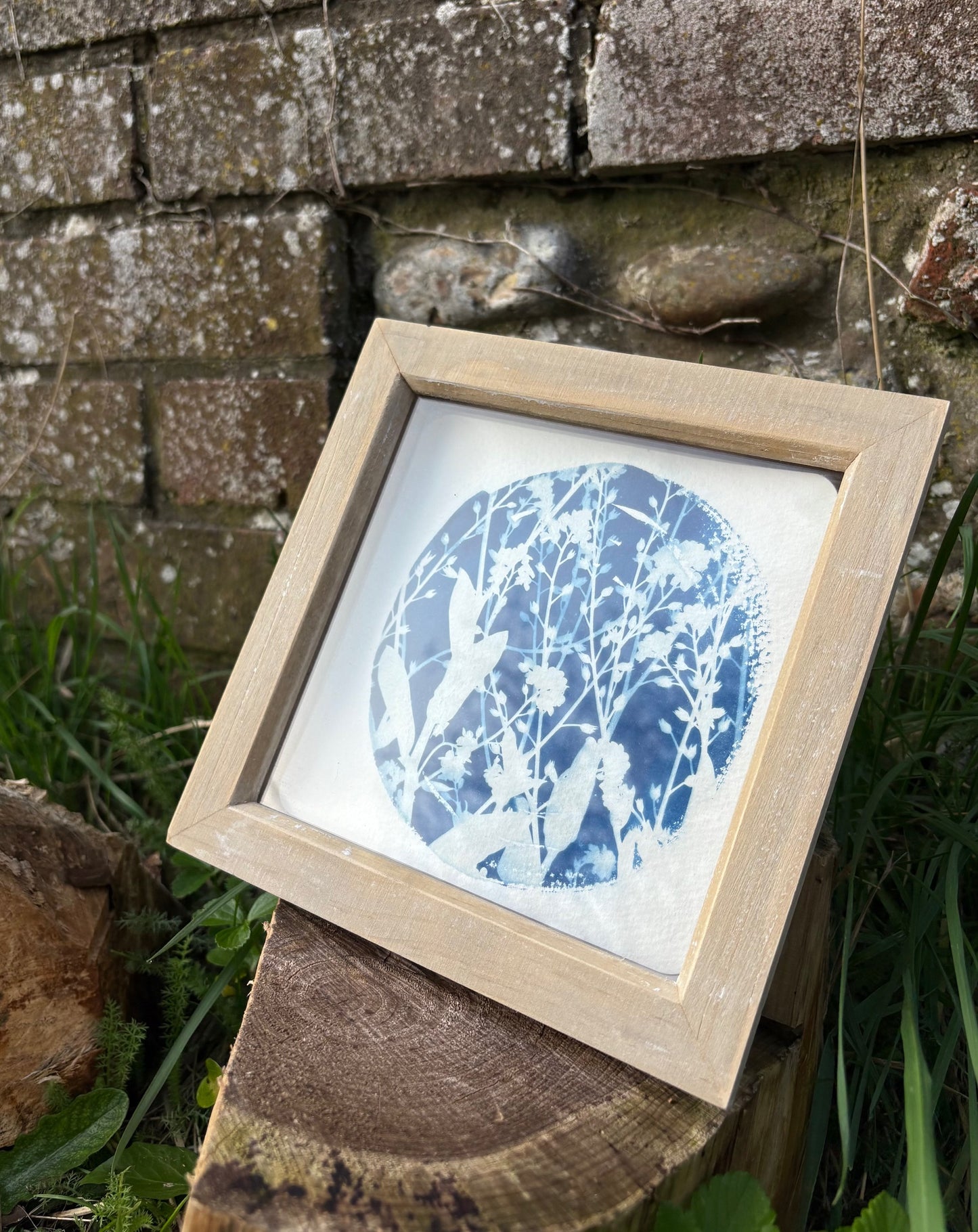 Forget me nots - wood washed square glass box frame SALE