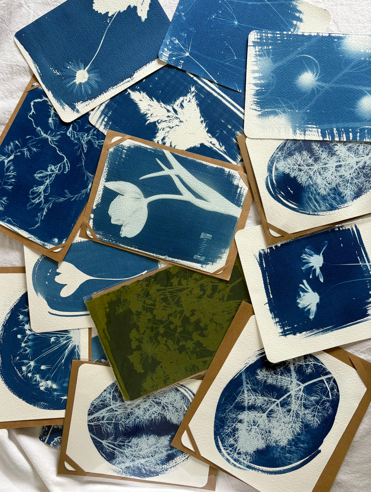 Cyanotype 2026 - Bit of Everything - Lucky Dip Bags
