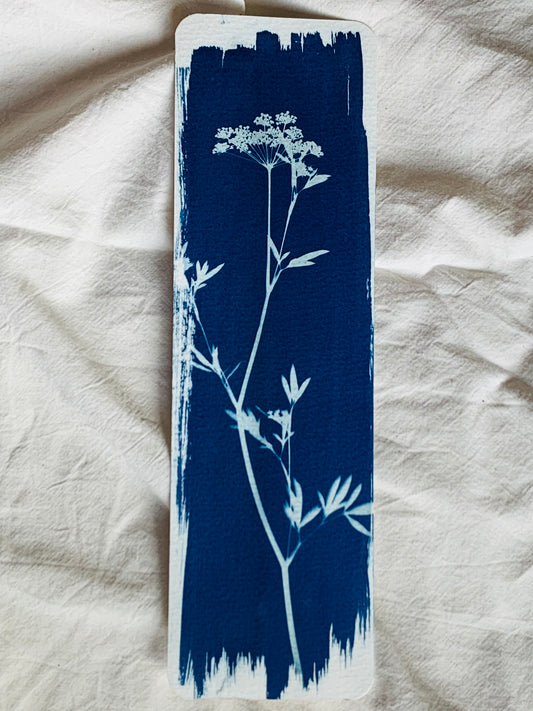 thin strip of watercolour paper with a single parsley stem blue and white cyanotype on