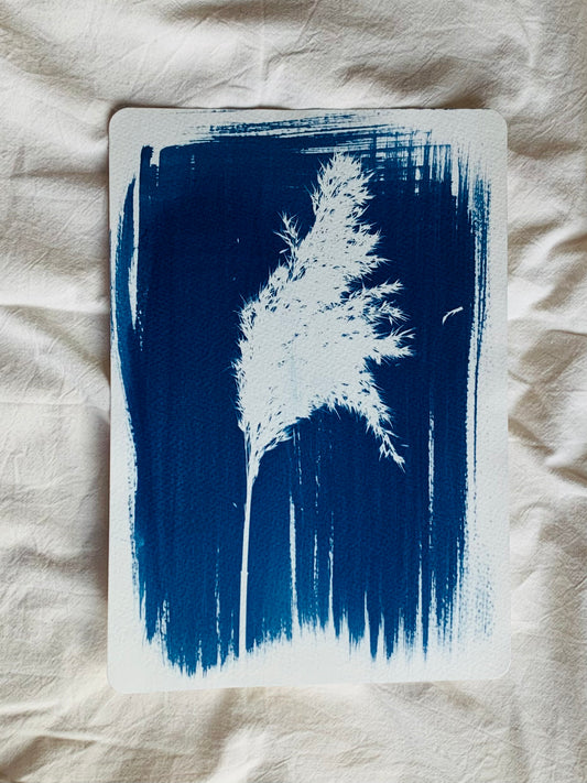 Single reed stem placed on brushed cyanotype chemical