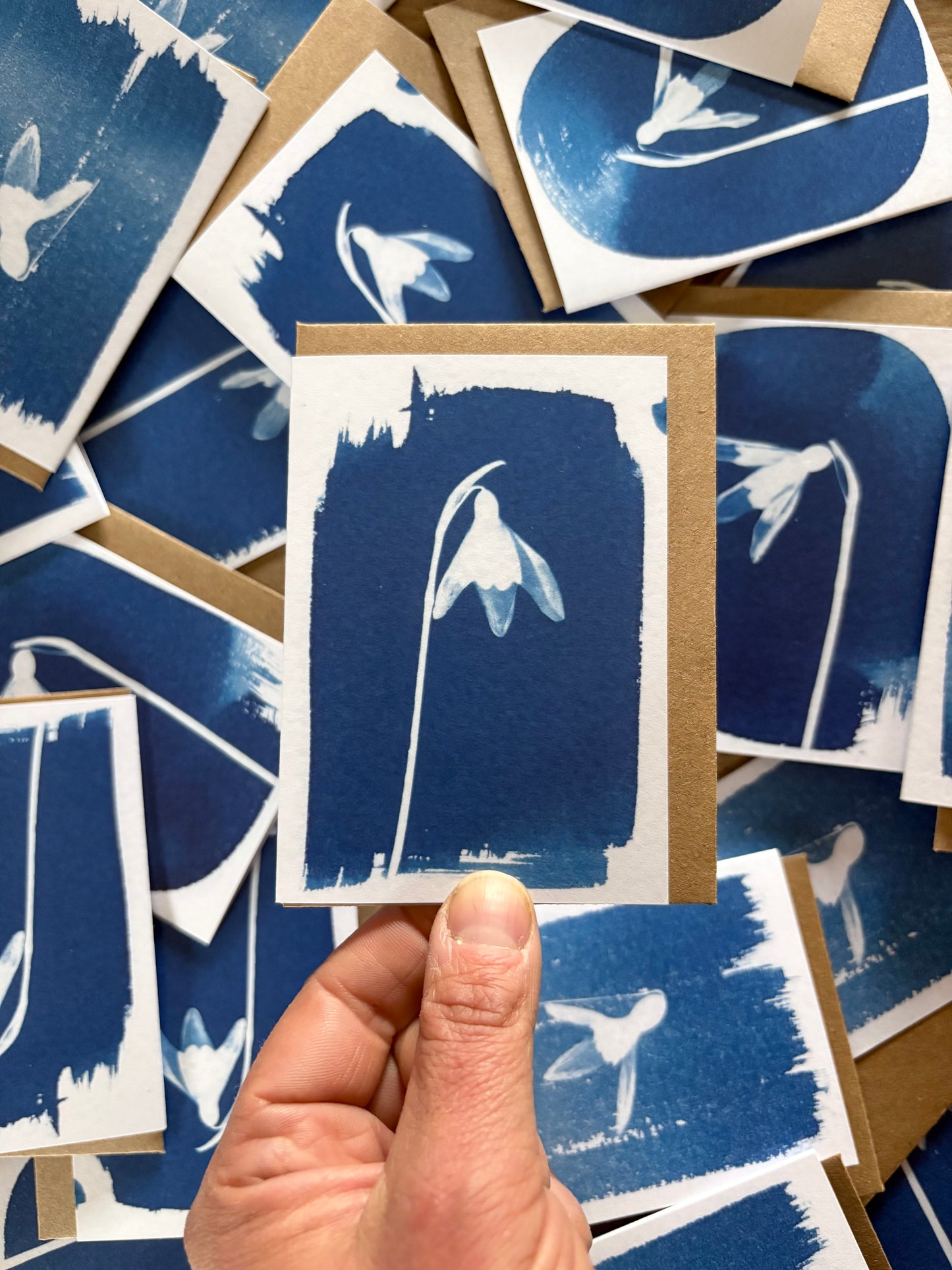 Snow Drop Framed - Cyanotype - A7 Blank Card