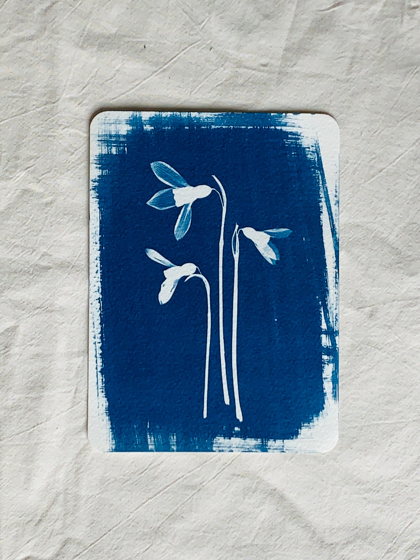 Snow Drop Trio 14x19cm - Original Print NNU