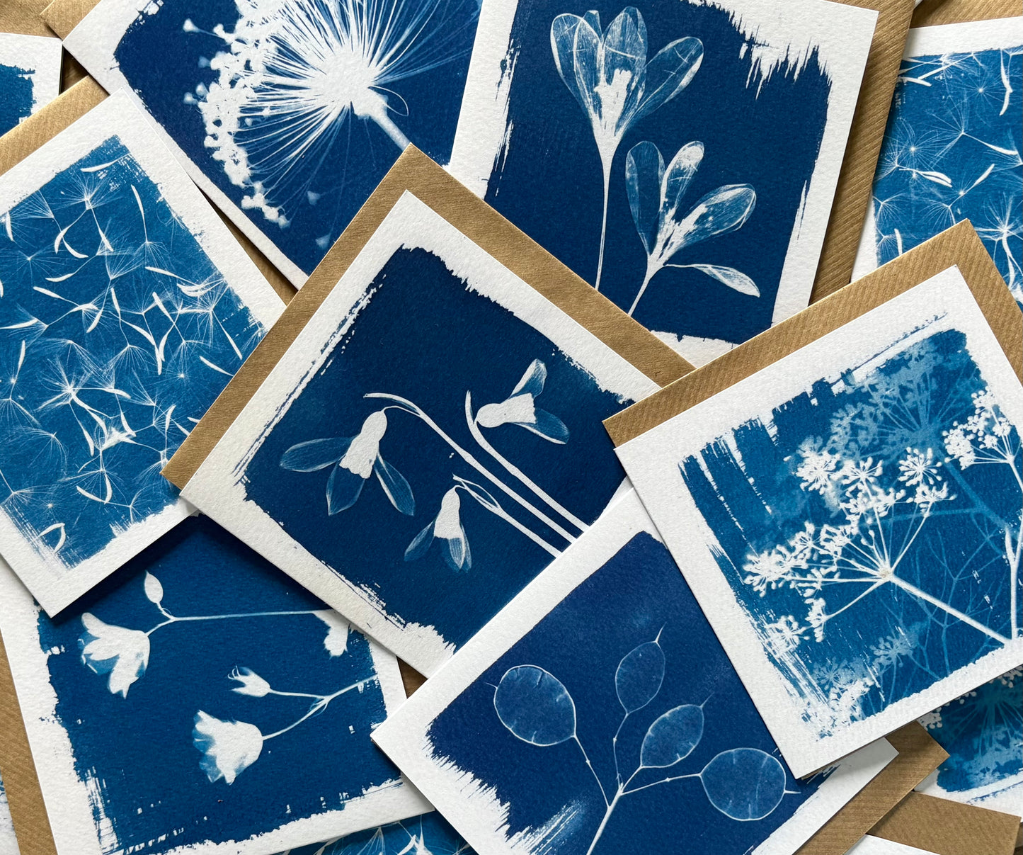 Cow Parsley - Cyanotype - Square Blank Card