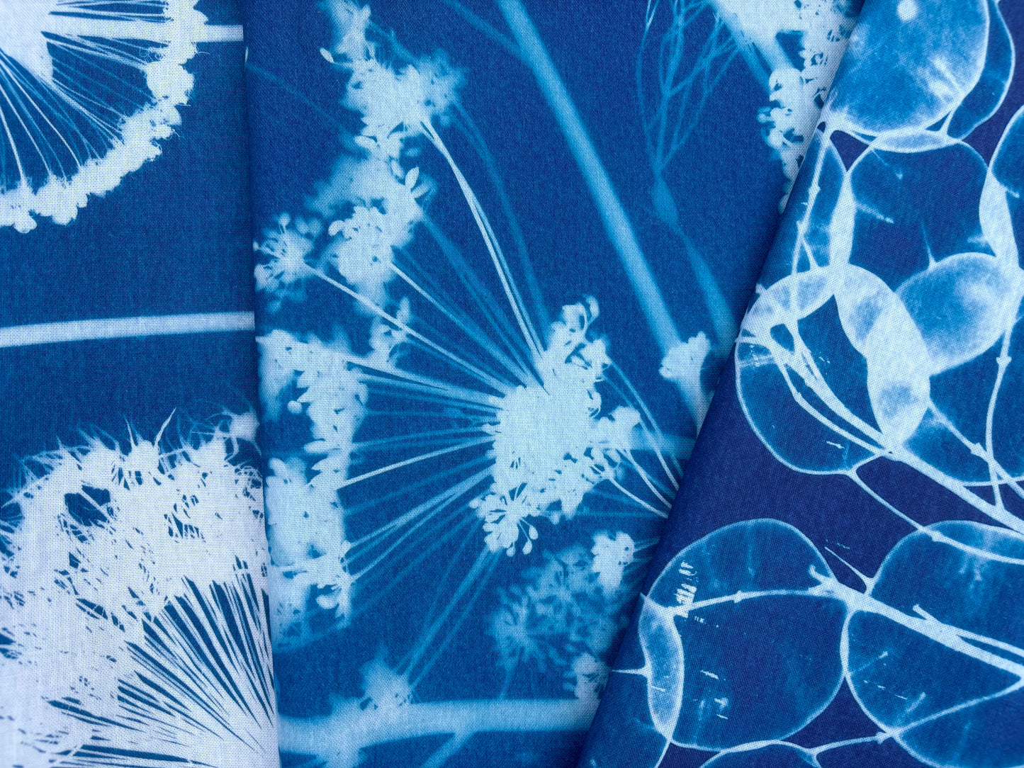 Honesty - Cyanotype - Tea Towel