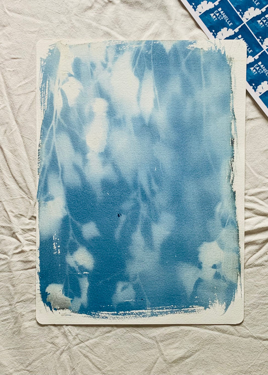 Birch Tree light- Cyanotype 38x28cm (approx) Original Print- SALE