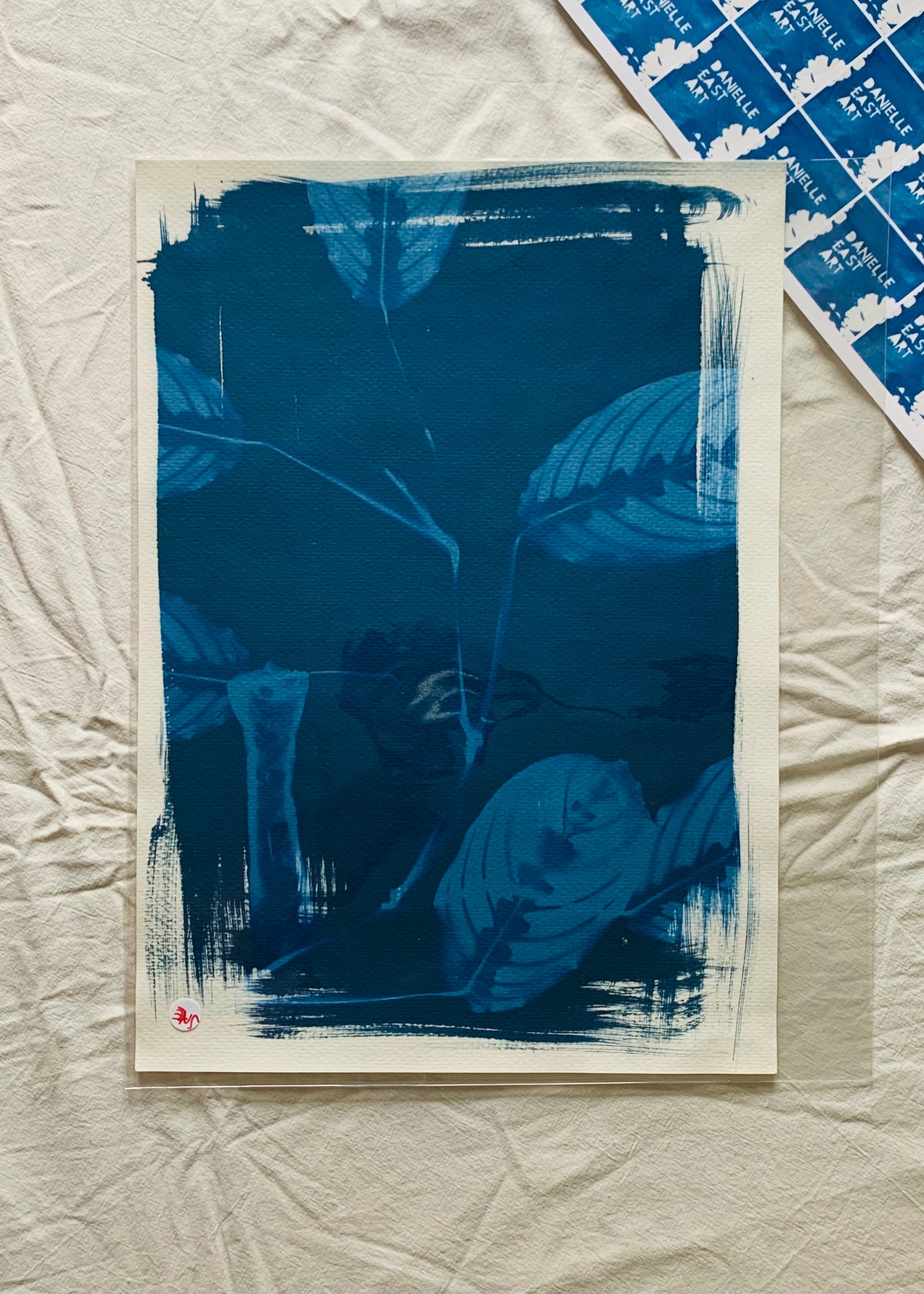 Prayer Plant- Cyanotype 38x28cm (approx) Original Print- SALE