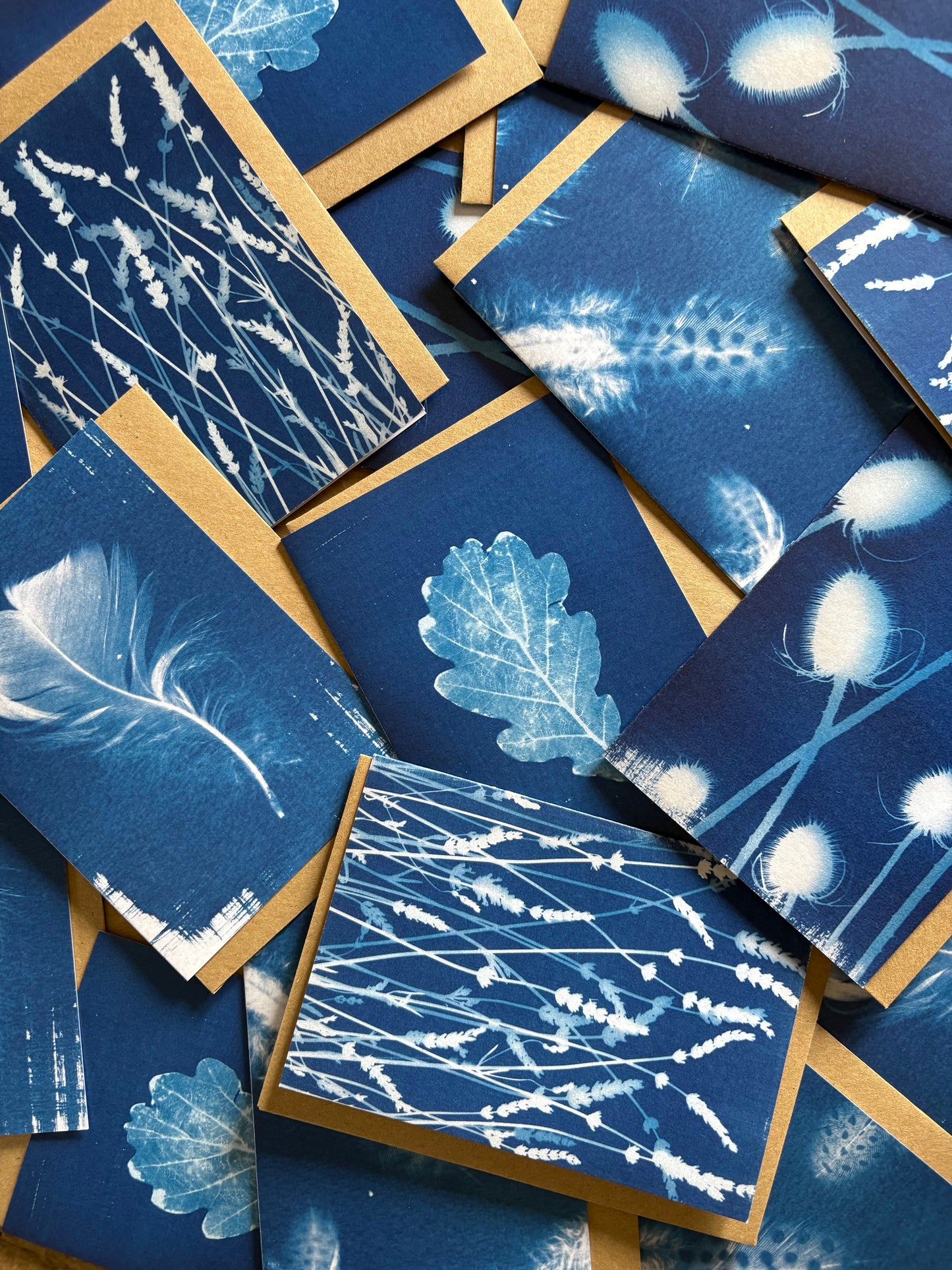 Guinea Fowl Feathers - Cyanotype - Blank Card