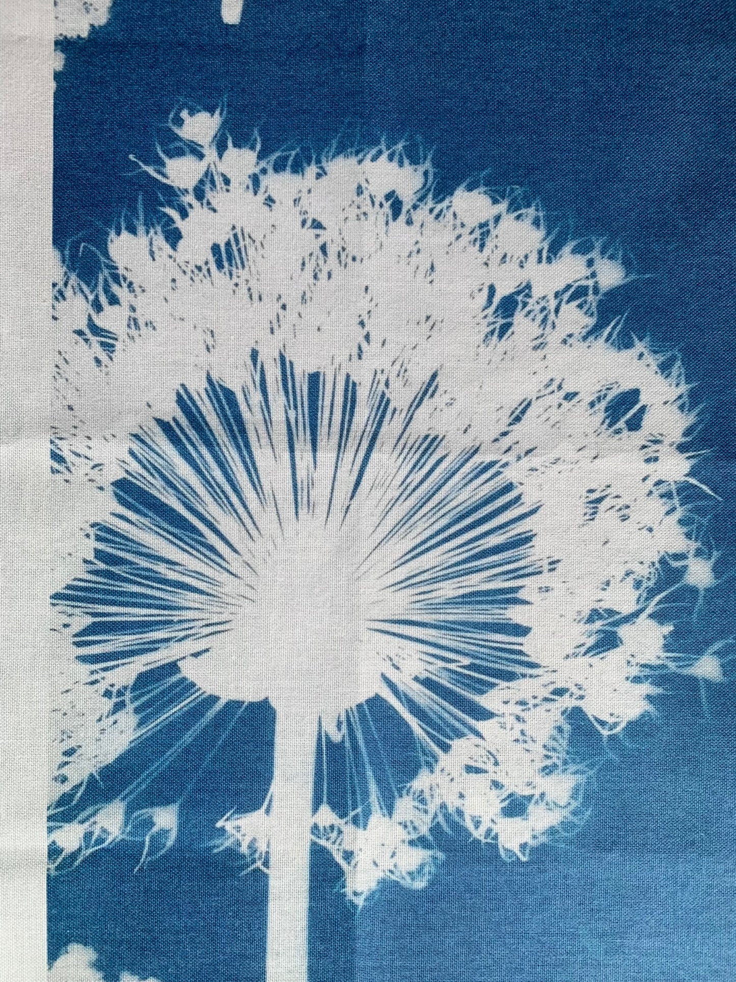 Allium Wallpaper - Cyanotype - Tea Towel