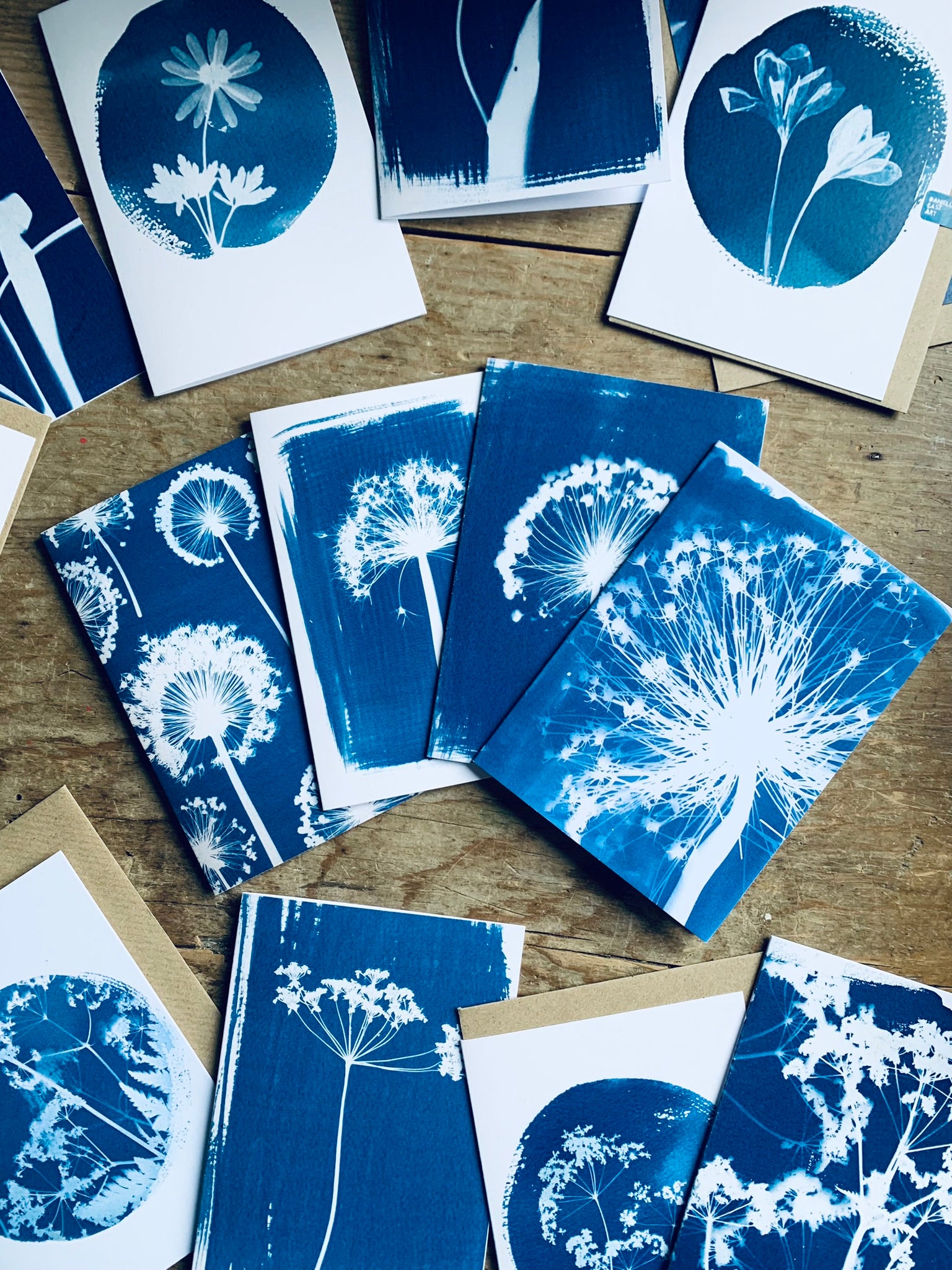 group of Allium Cyanotype Blank Greetings card from Danielle East ART
