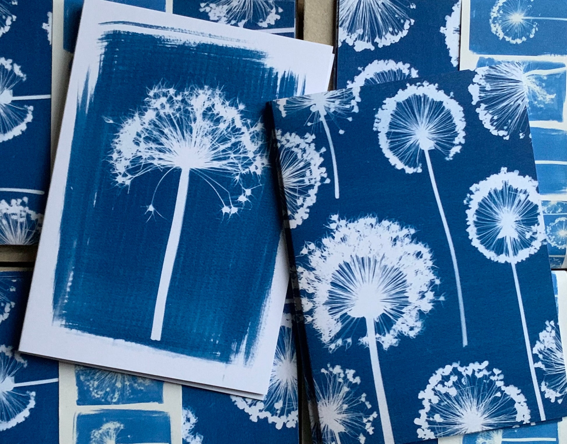 Close up of two of the allium Cyanotype Blank Greetings card from Danielle East ART
