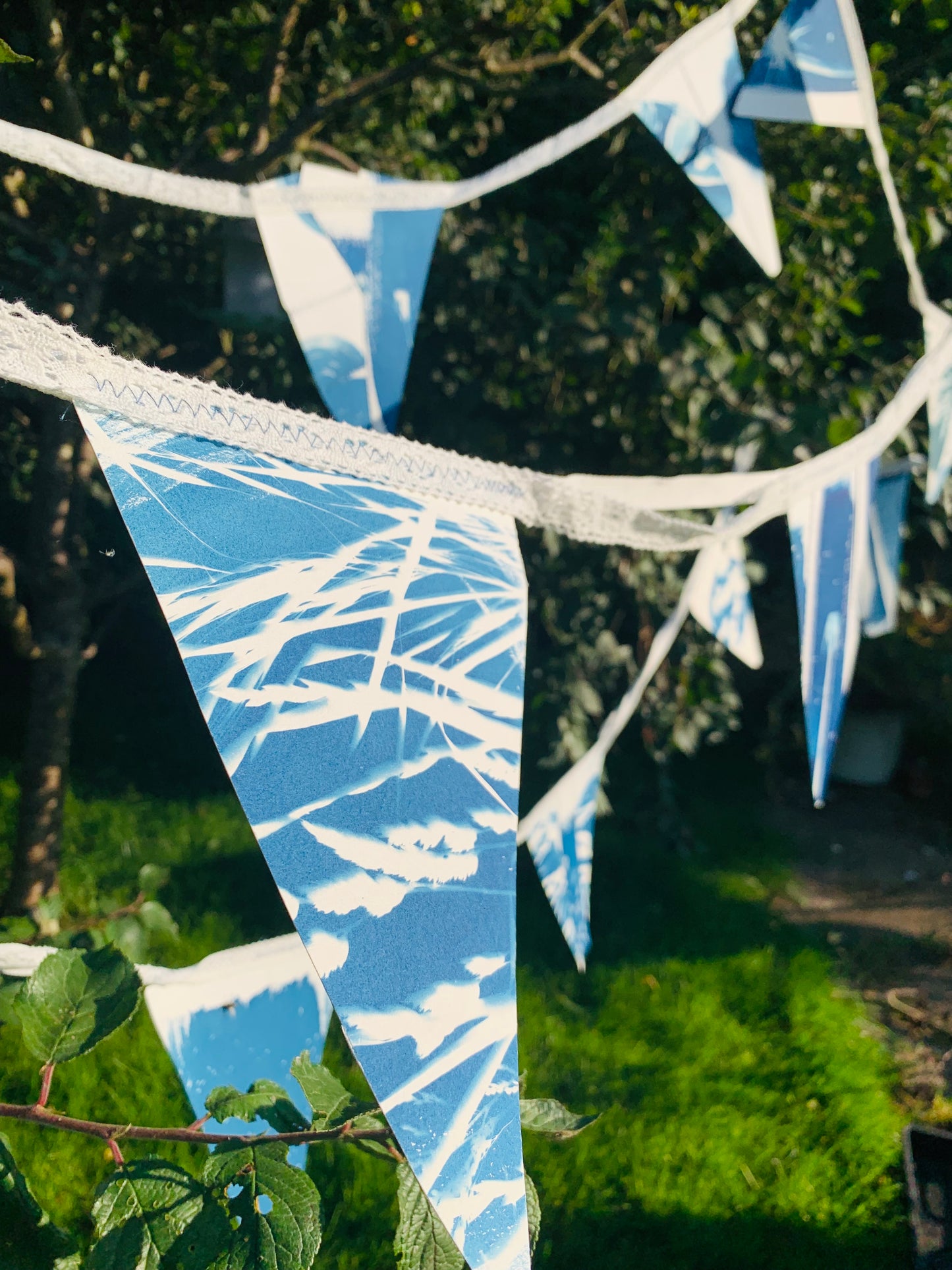 Cyanotype Bunting - Set 3