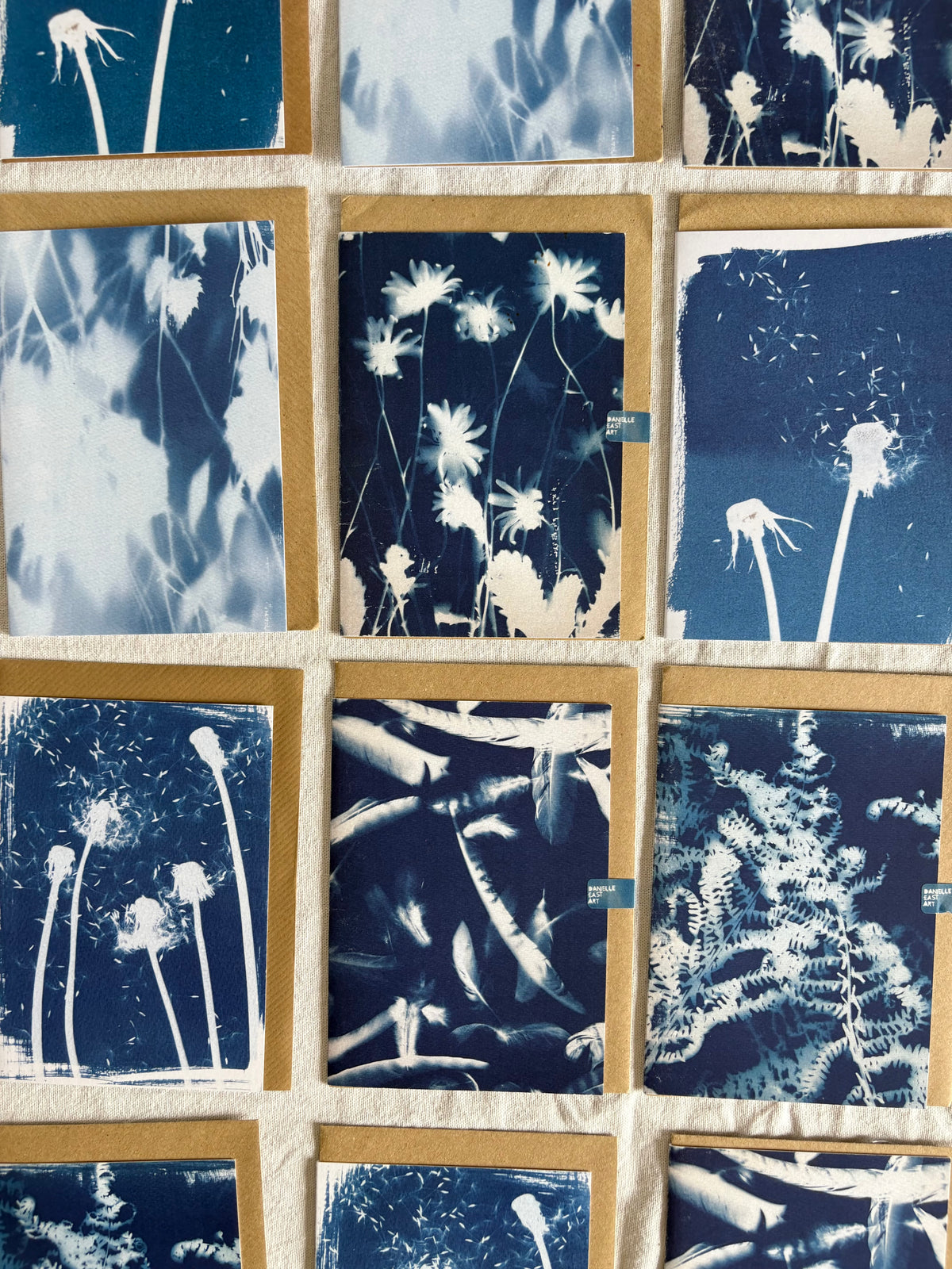 Pack of 6 Lucky Dip Cyanotype Cards