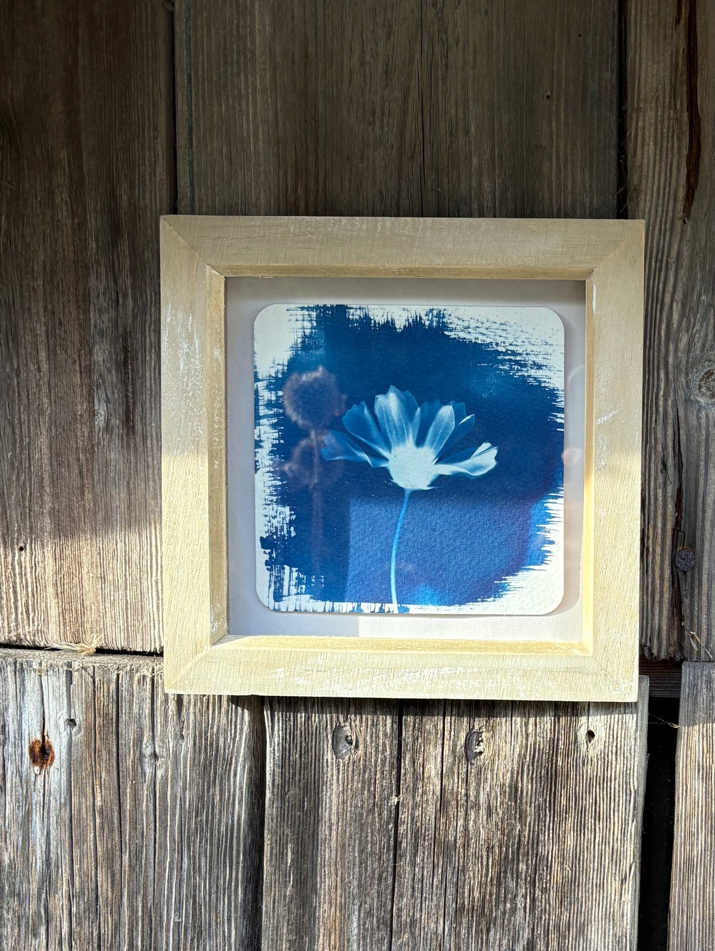 Cosmos - wood washed square glass box frame