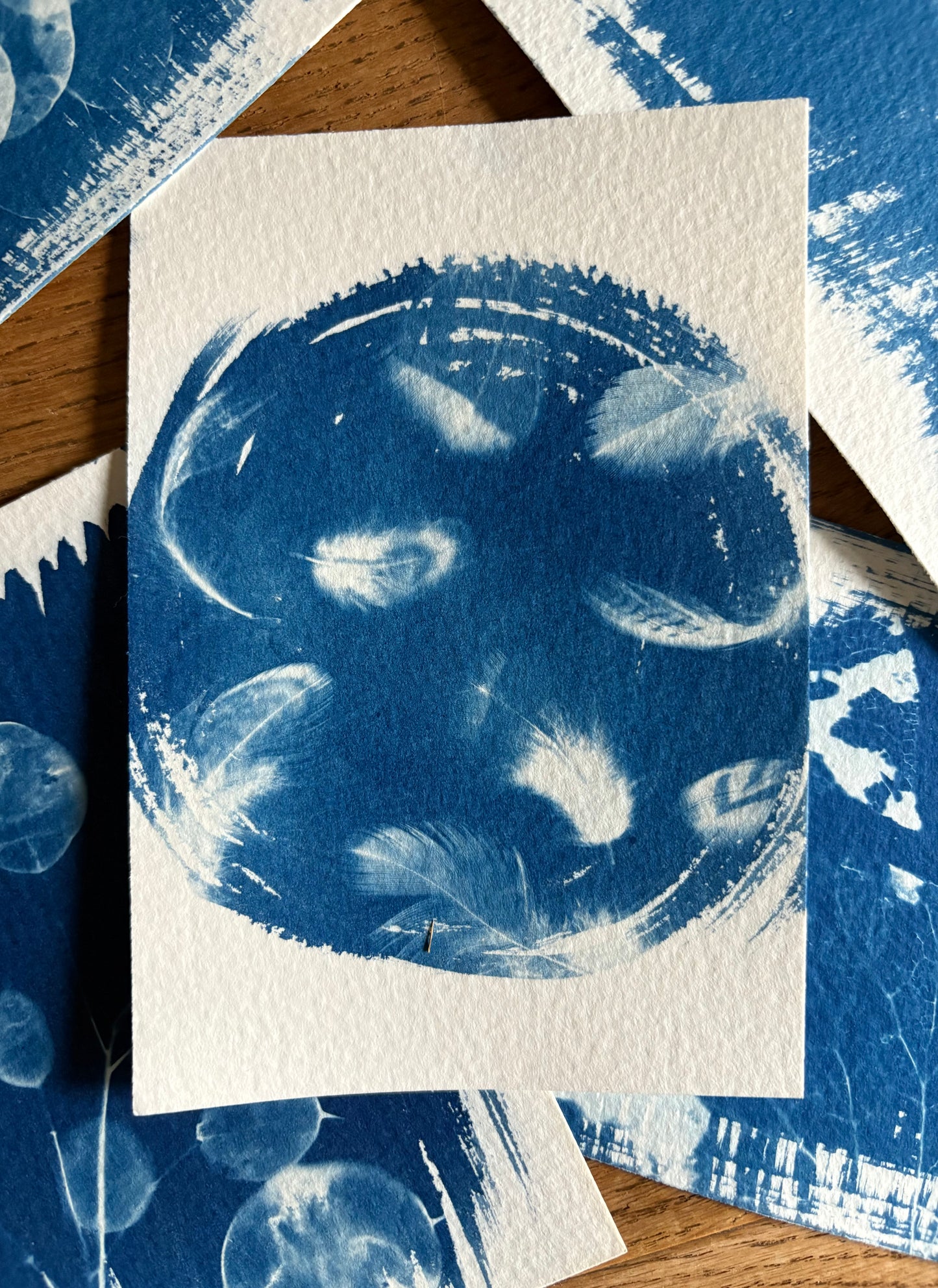 Feathers in a round - 10 x 14cm (approx) - Original Print