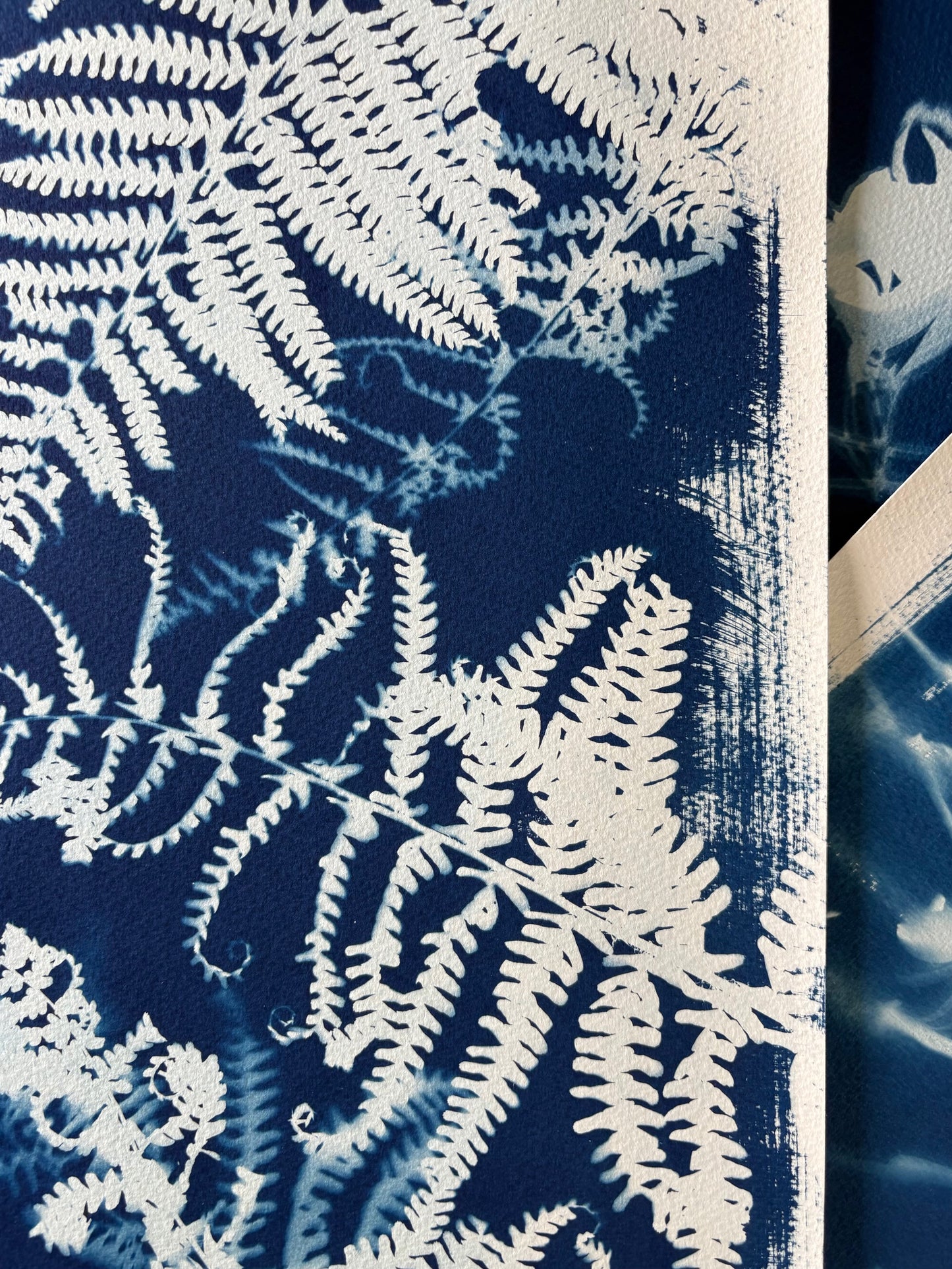 Ferns (15x22") Original Print